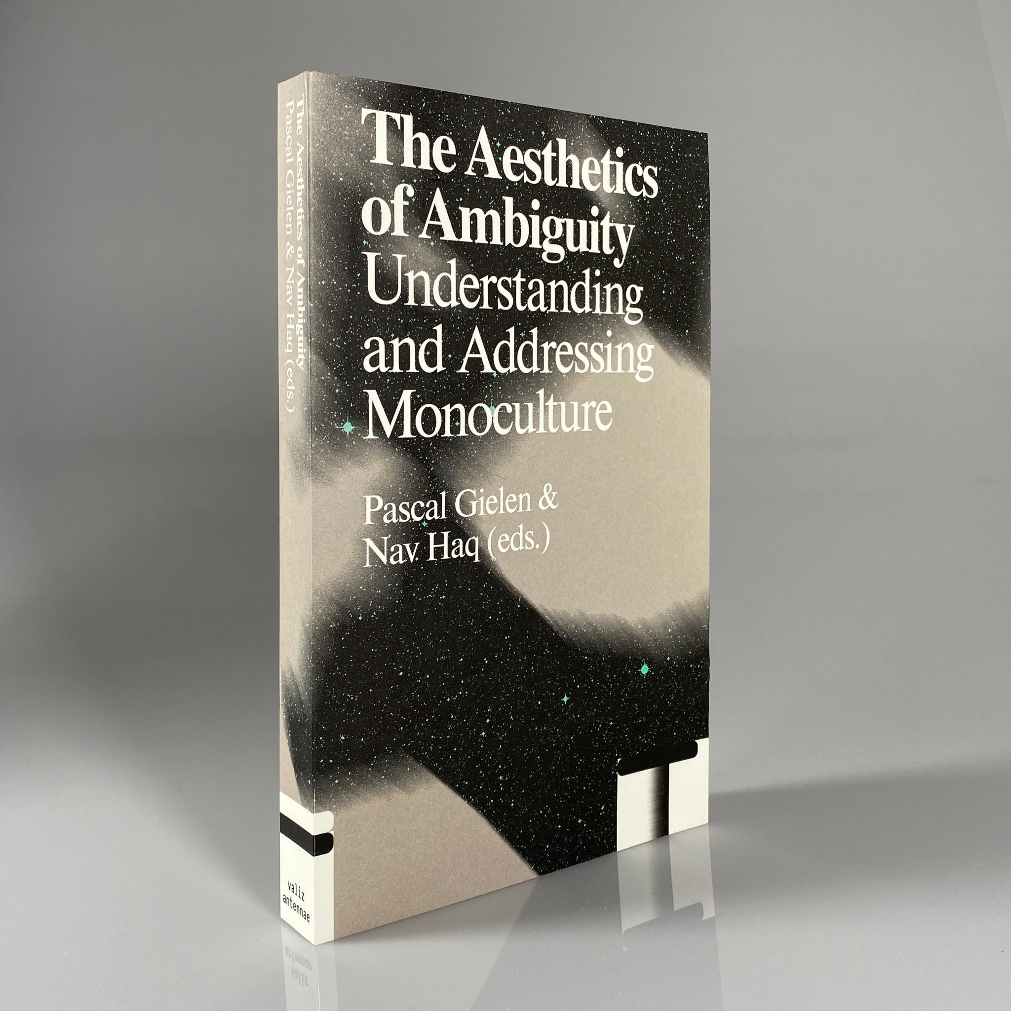 The Aesthetics of Ambiguity: Understanding and Addressing Monoculture