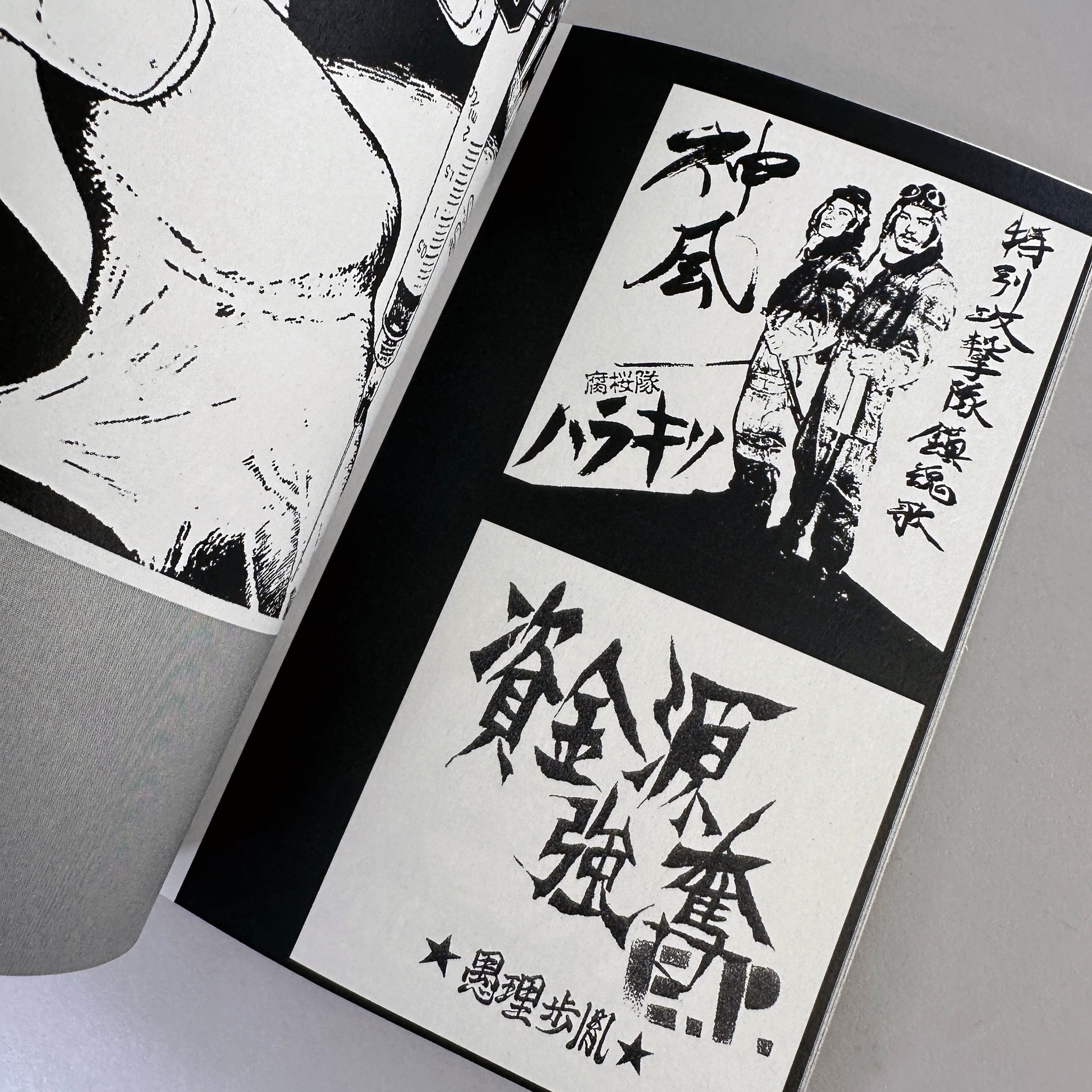 Japanese Punk Graphics (1980-2010)