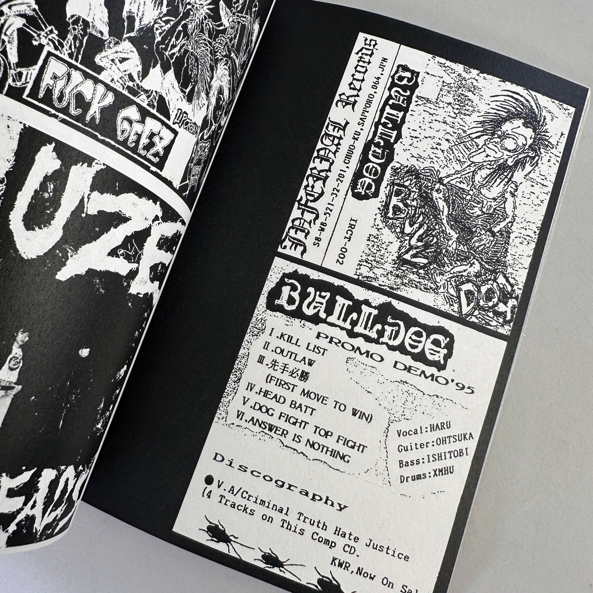Japanese Punk Graphics (1980-2010)