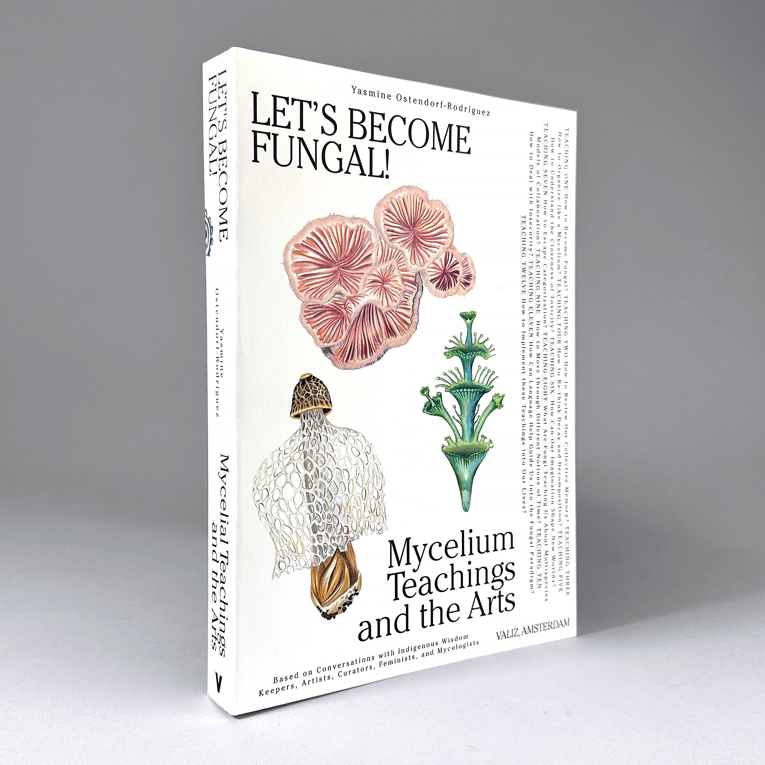 Let's Become Fungal! – Draw Down