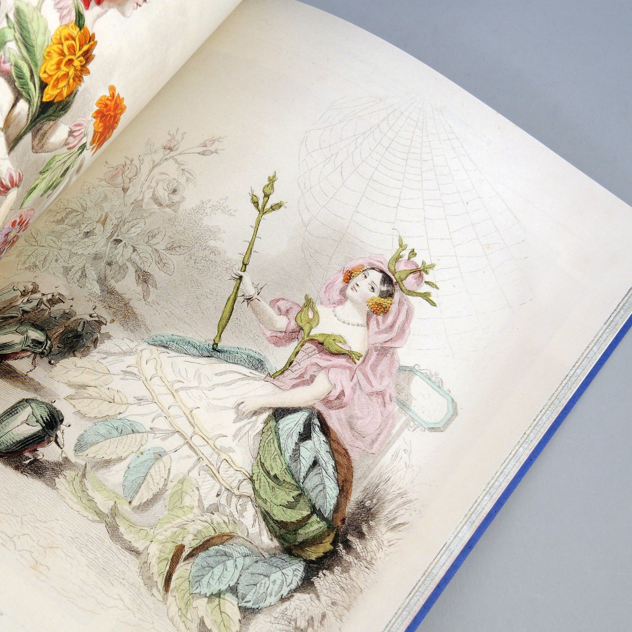 Beautiful Book Designs: From the Middle Ages to the Mid 20th Century