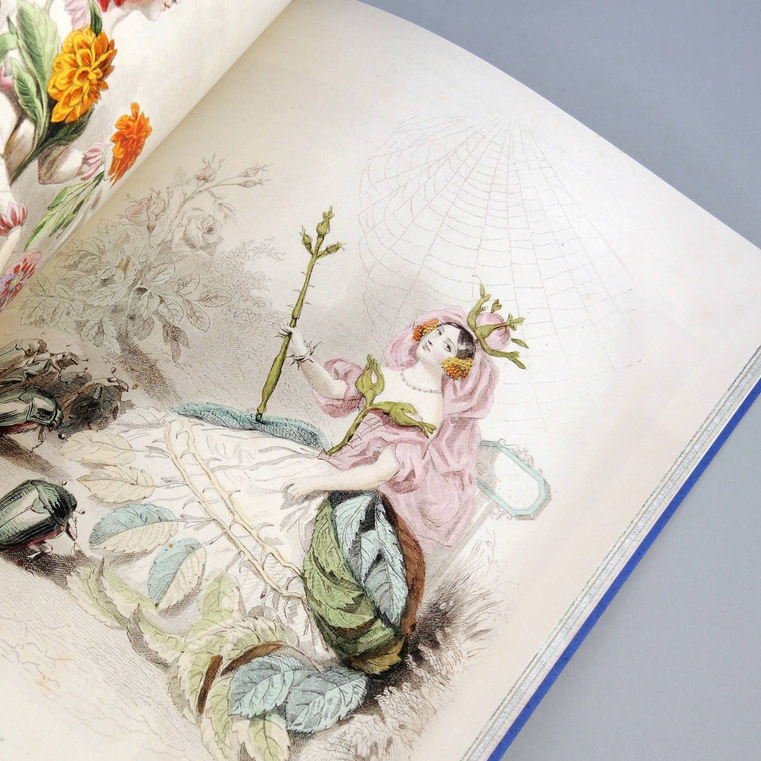 Beautiful Book Designs: From the Middle Ages to the Mid 20th