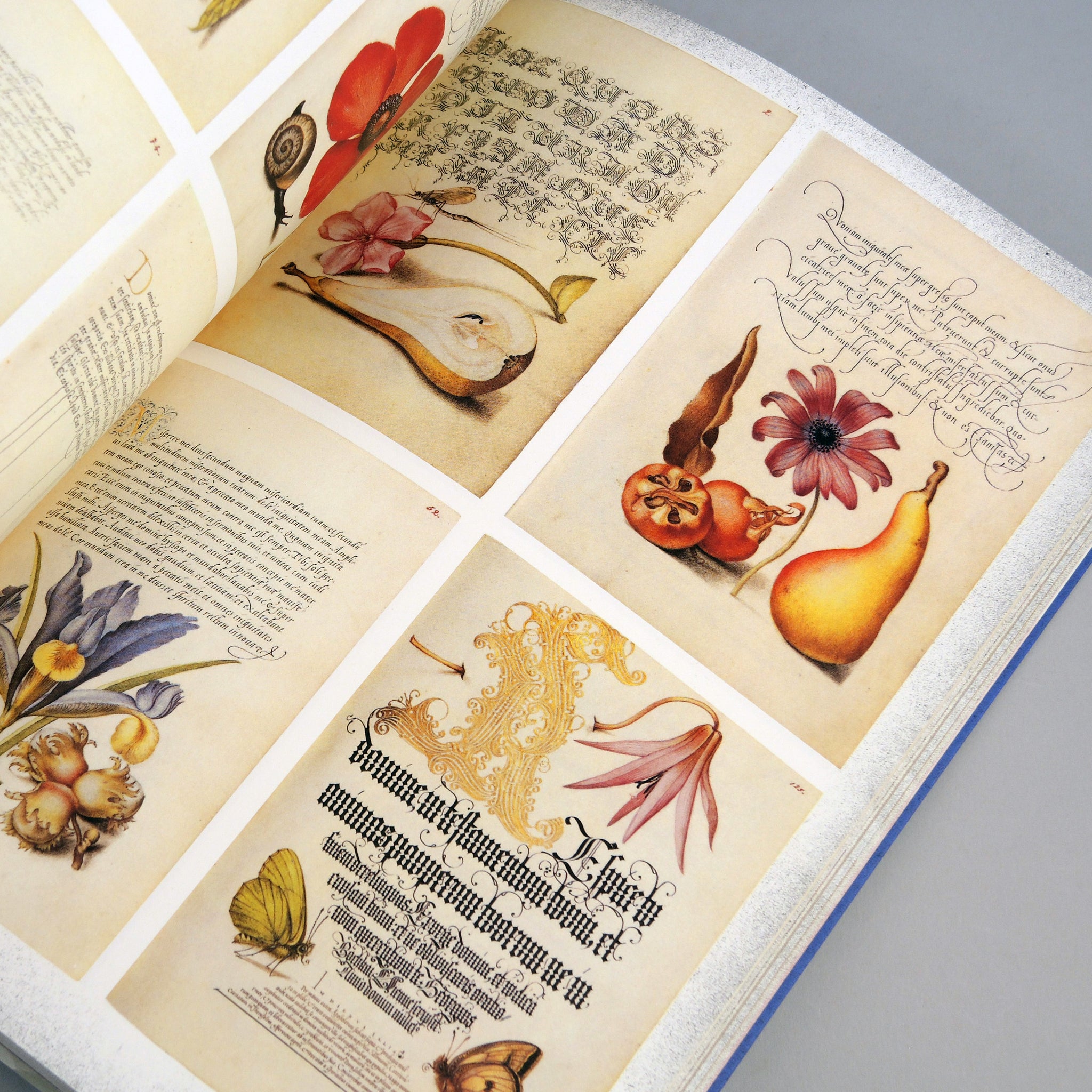 Beautiful Book Designs: From the Middle Ages to the Mid 20th Century