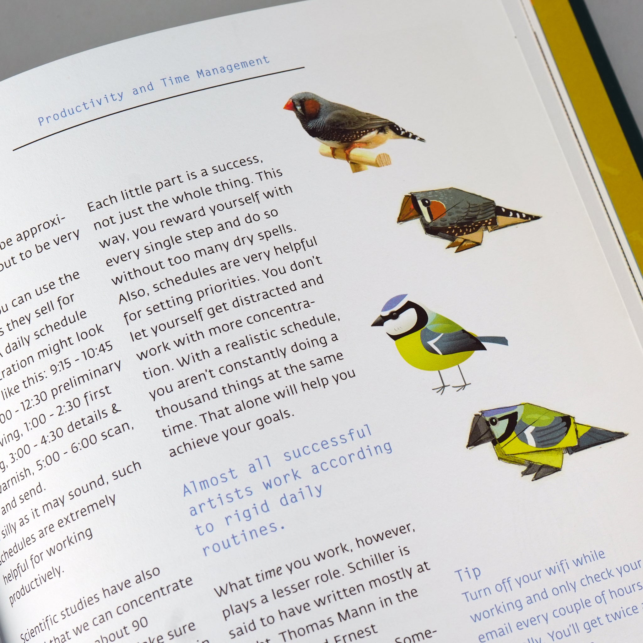 Becoming an Illustrator: 100 Ways to Draw a Bird and Turn Art into a L ...