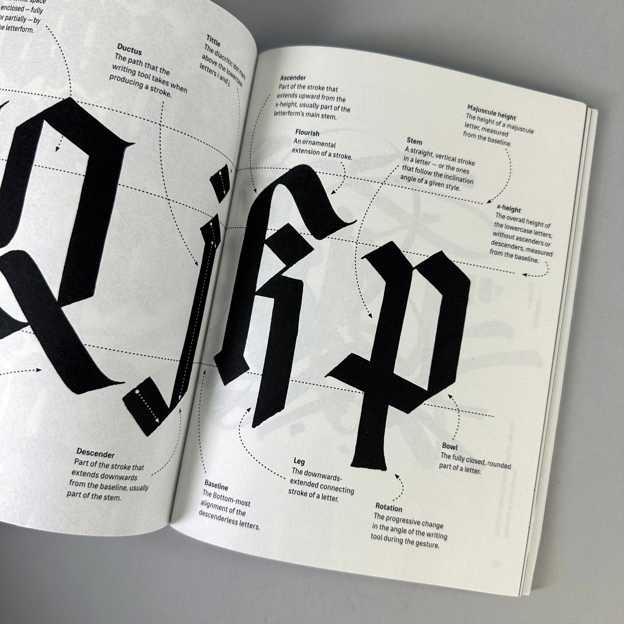 Blackletter — Textura (Calligraphy Manual)
