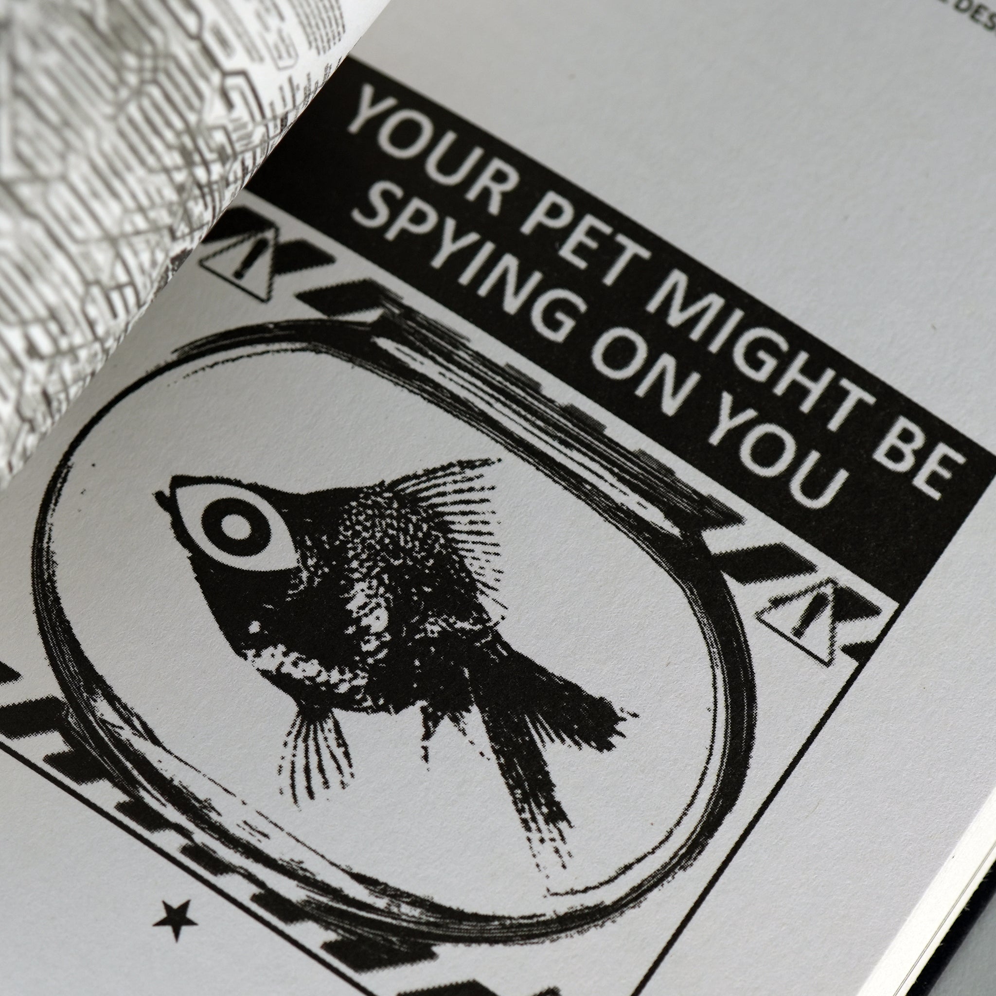 Conspiratorial Design: Information Design for the Bigger Picture