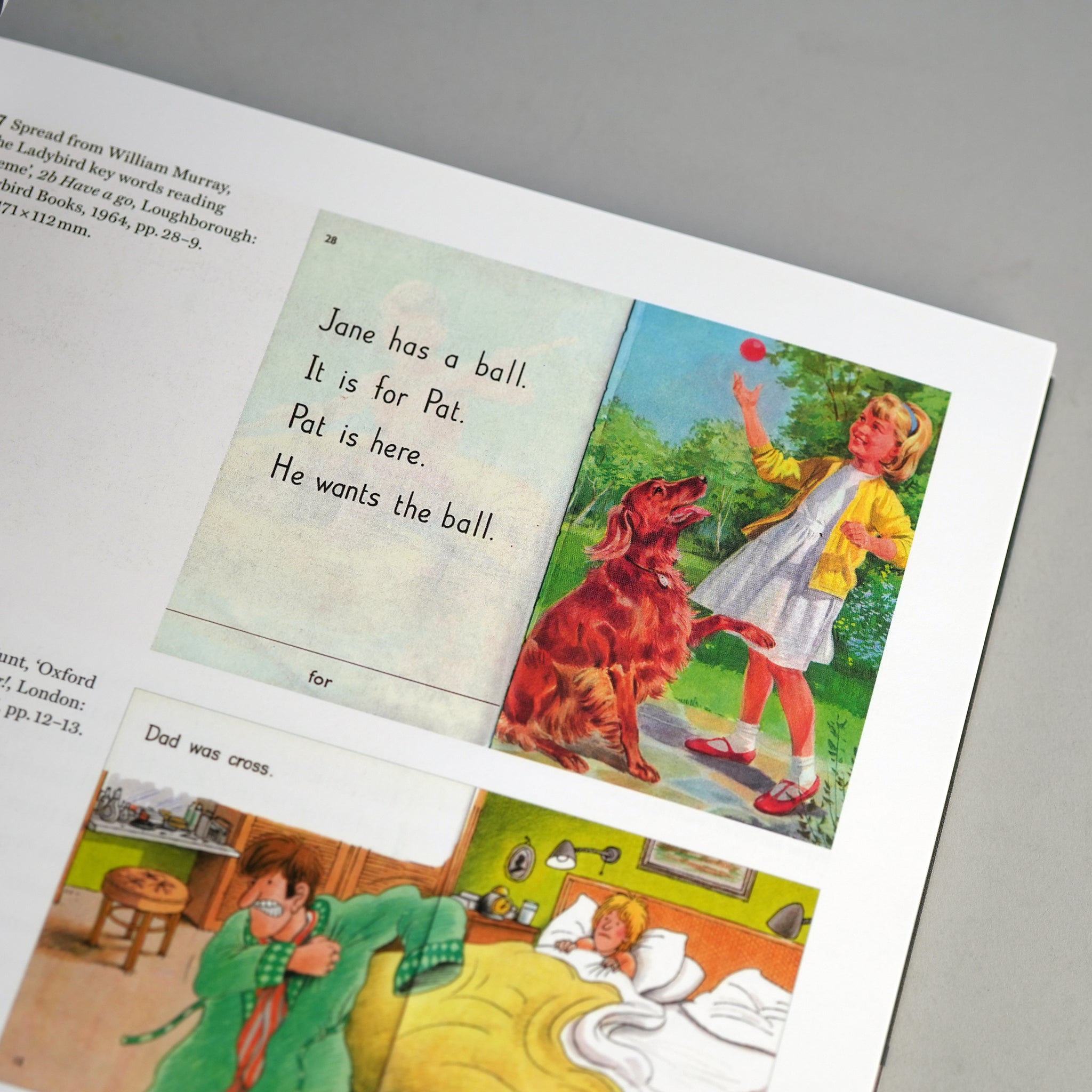 Book Design for Children's Reading: Typography, Pictures, Print