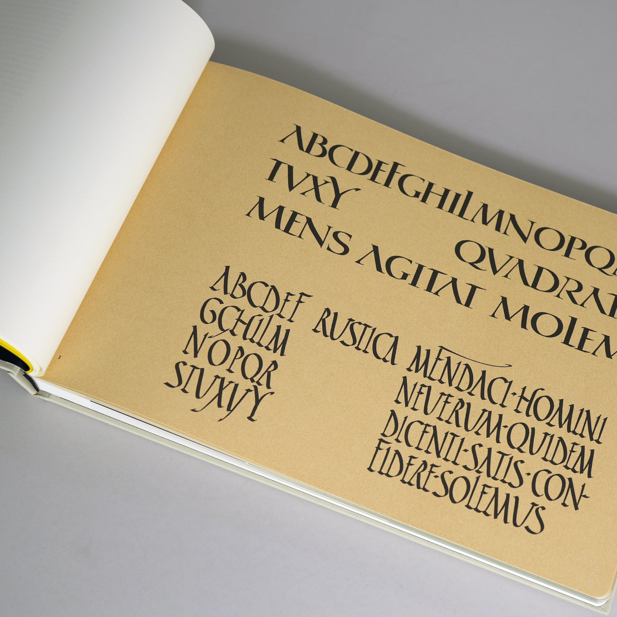 Schiften / Lettering / Ecritures: The Handbook for Lettering by Walter Käch