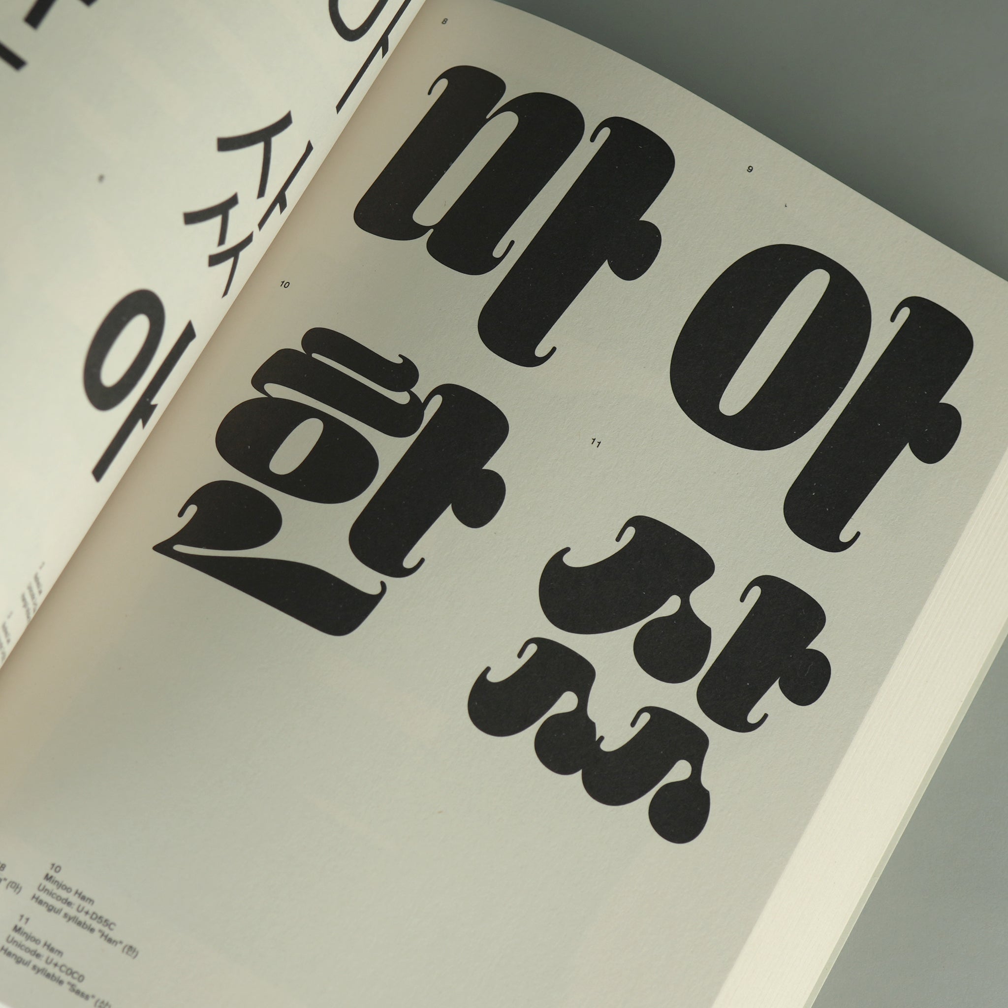 Graphic Languages—A Visual Guide to the World’s Writing Systems
