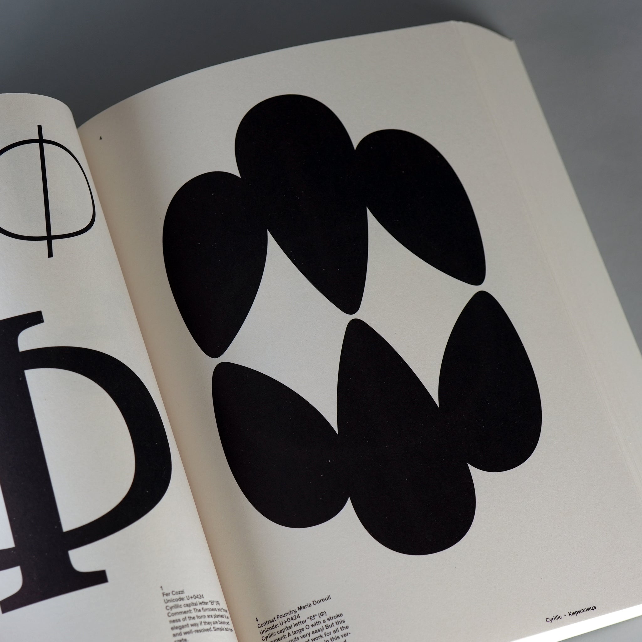 Graphic Languages—A Visual Guide to the World’s Writing Systems
