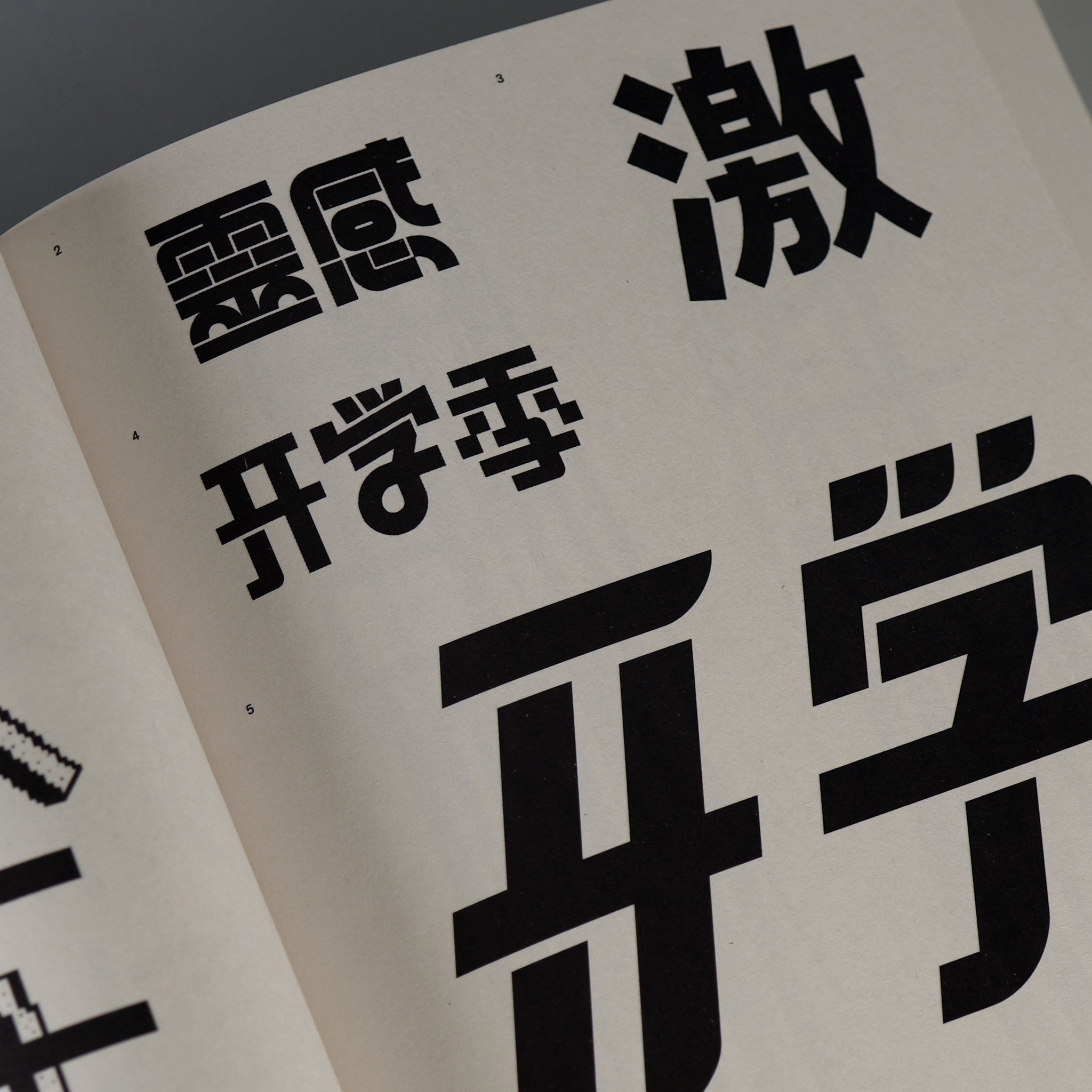 Graphic Languages—A Visual Guide to the World’s Writing Systems