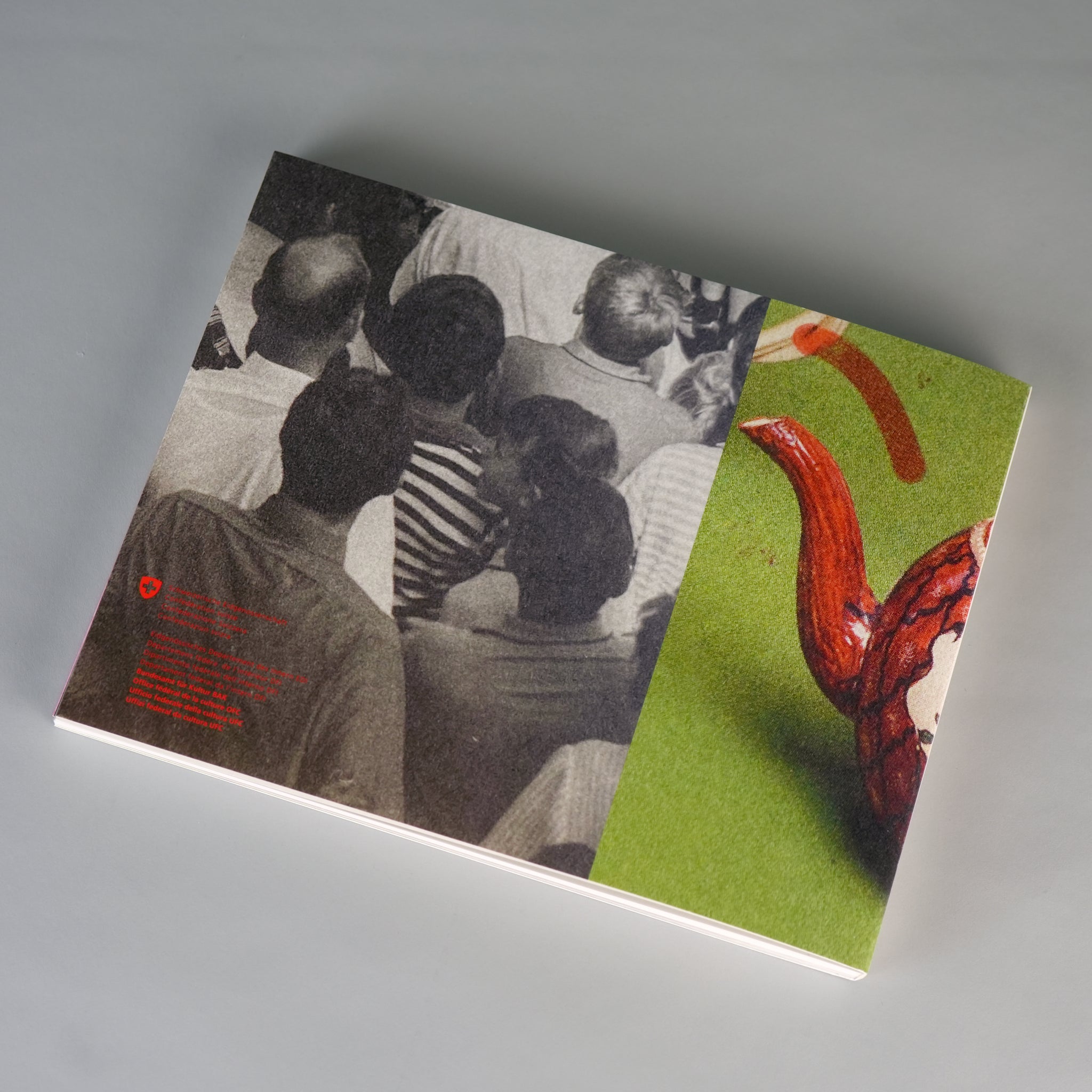 The Most Beautiful Swiss Books 2024