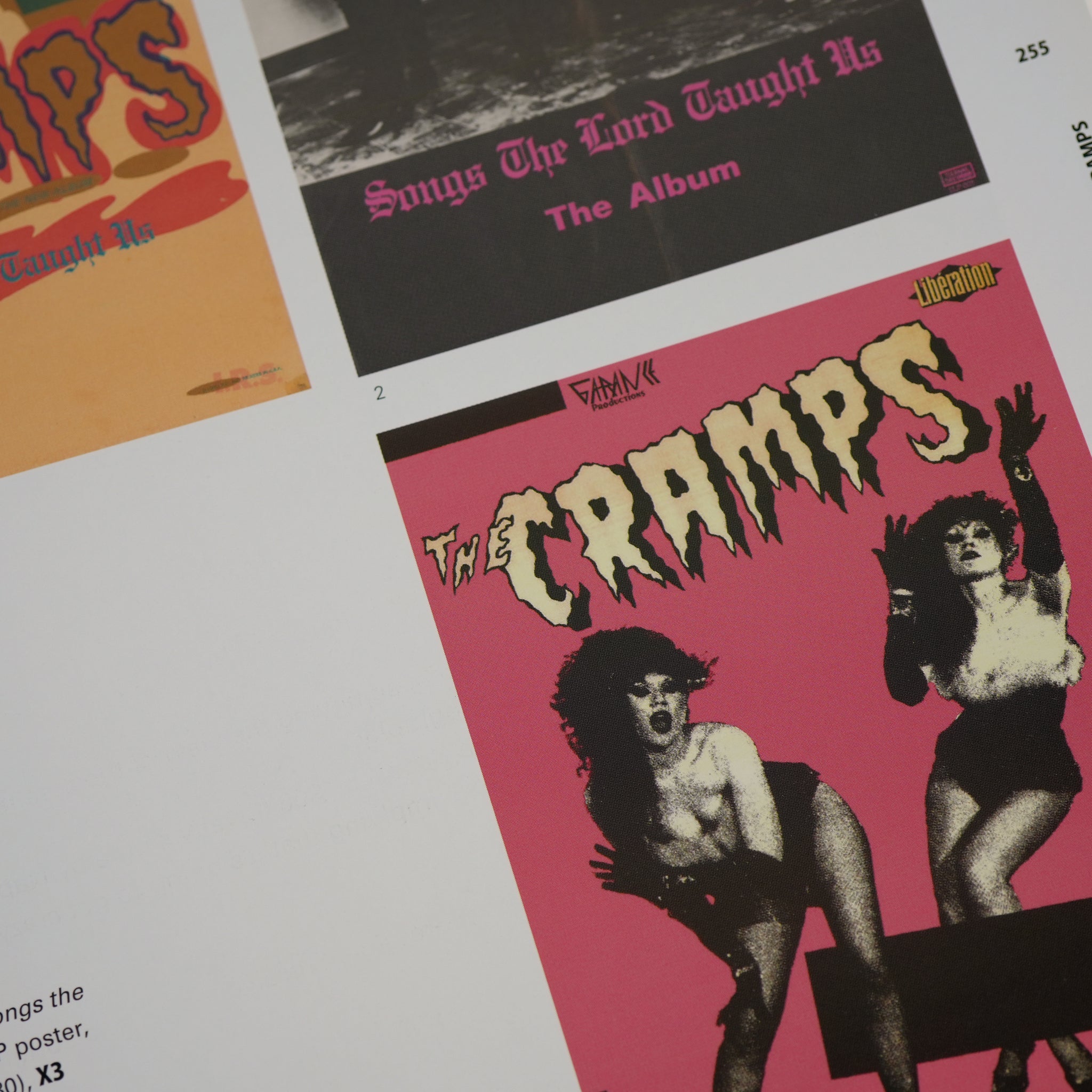 Too Fast to Live, Too Young to Die: Punk Graphics, 1976-1986