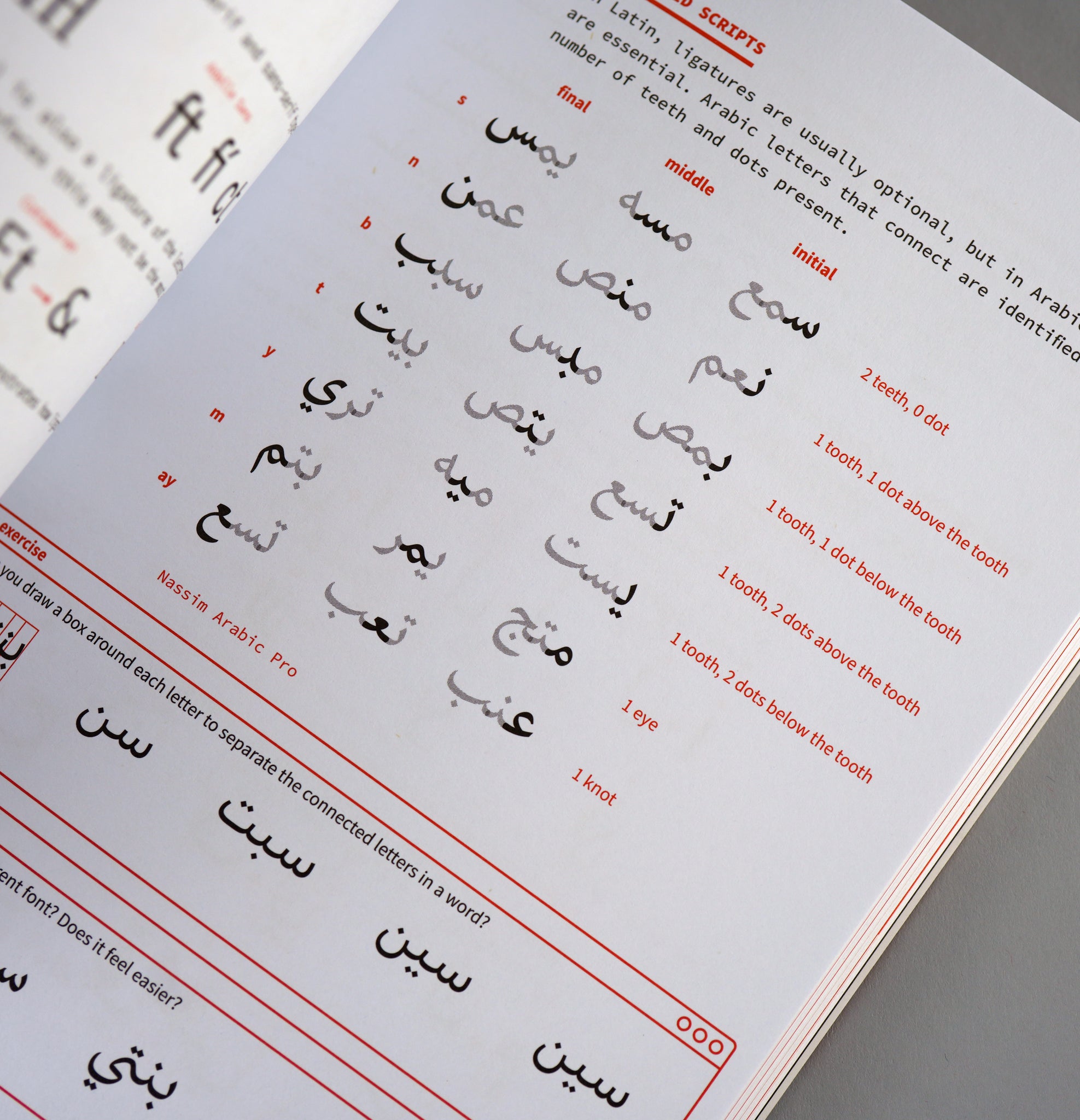 Typography Beyond Borders: Design with Multiscriptual Typographic Elements