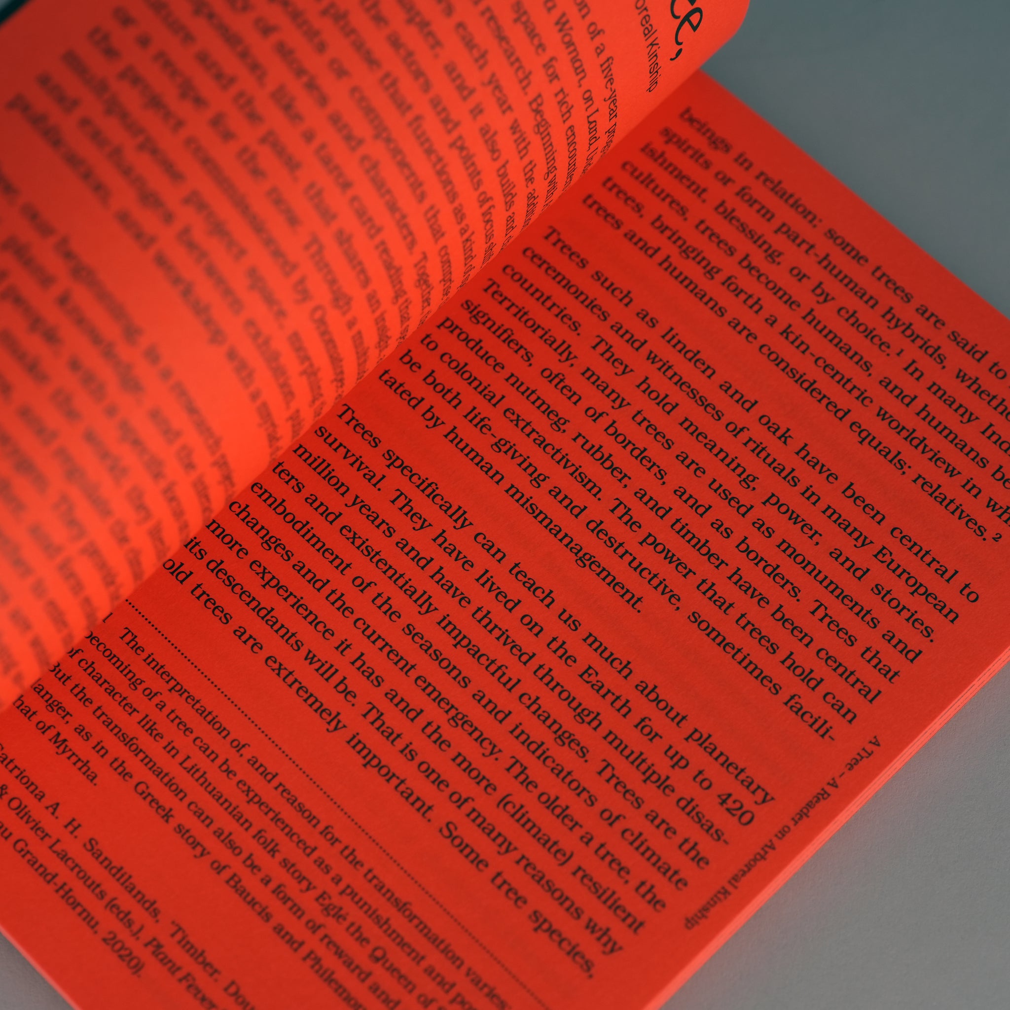 A Tree, A Reader on Arboreal Kinship