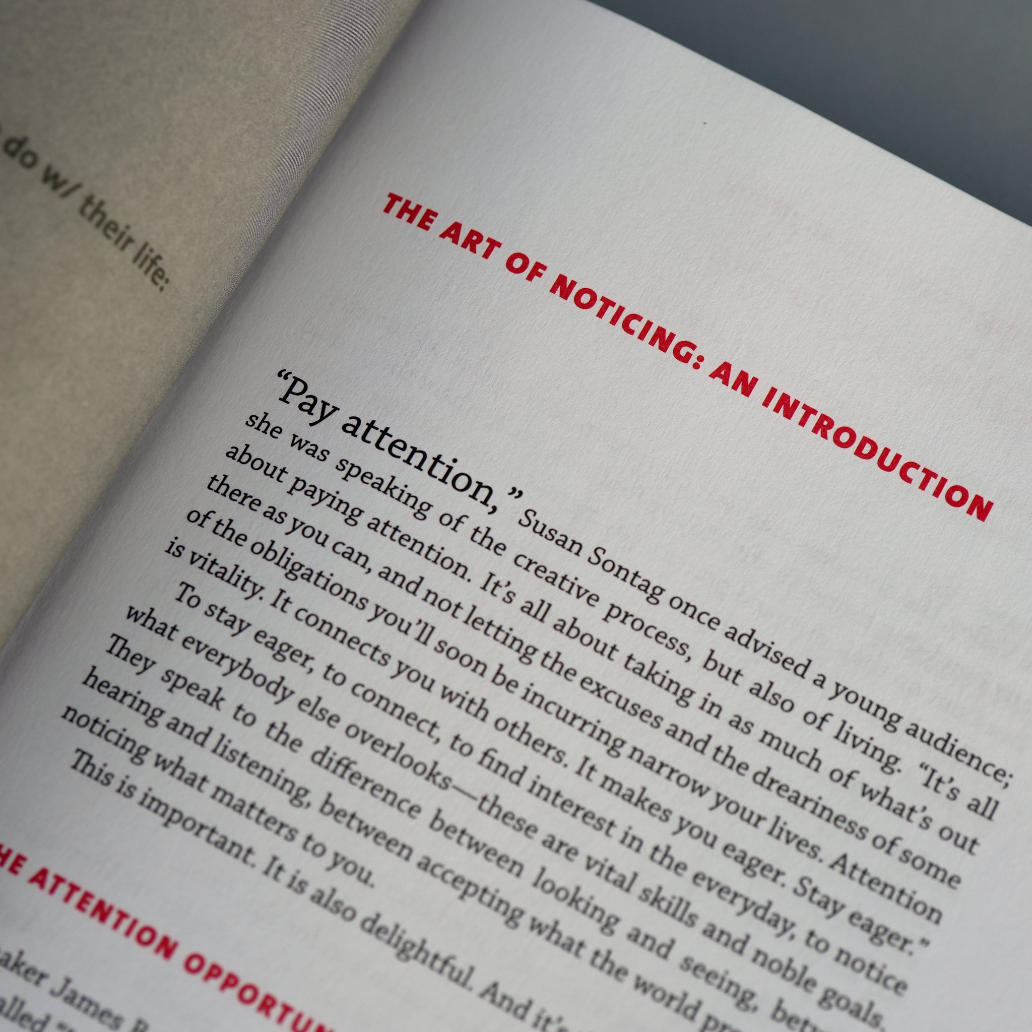The Art of Noticing