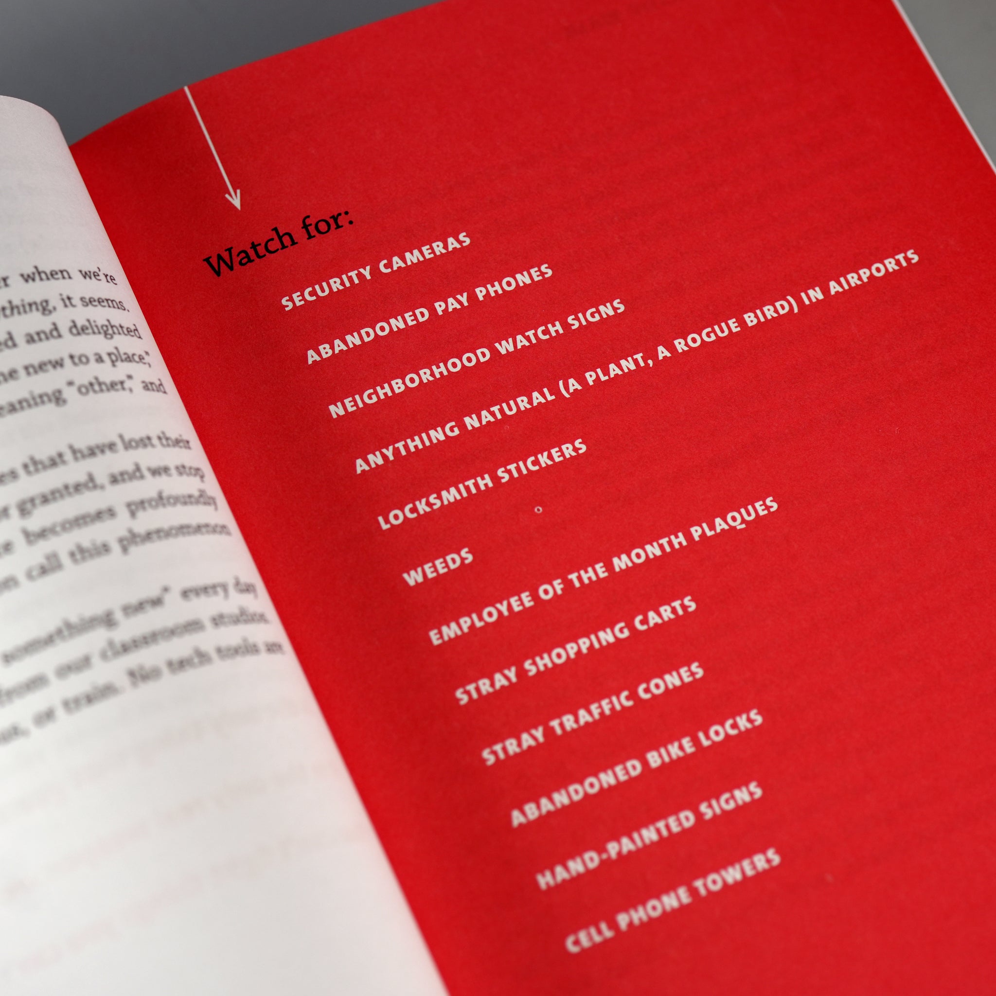 The Art of Noticing