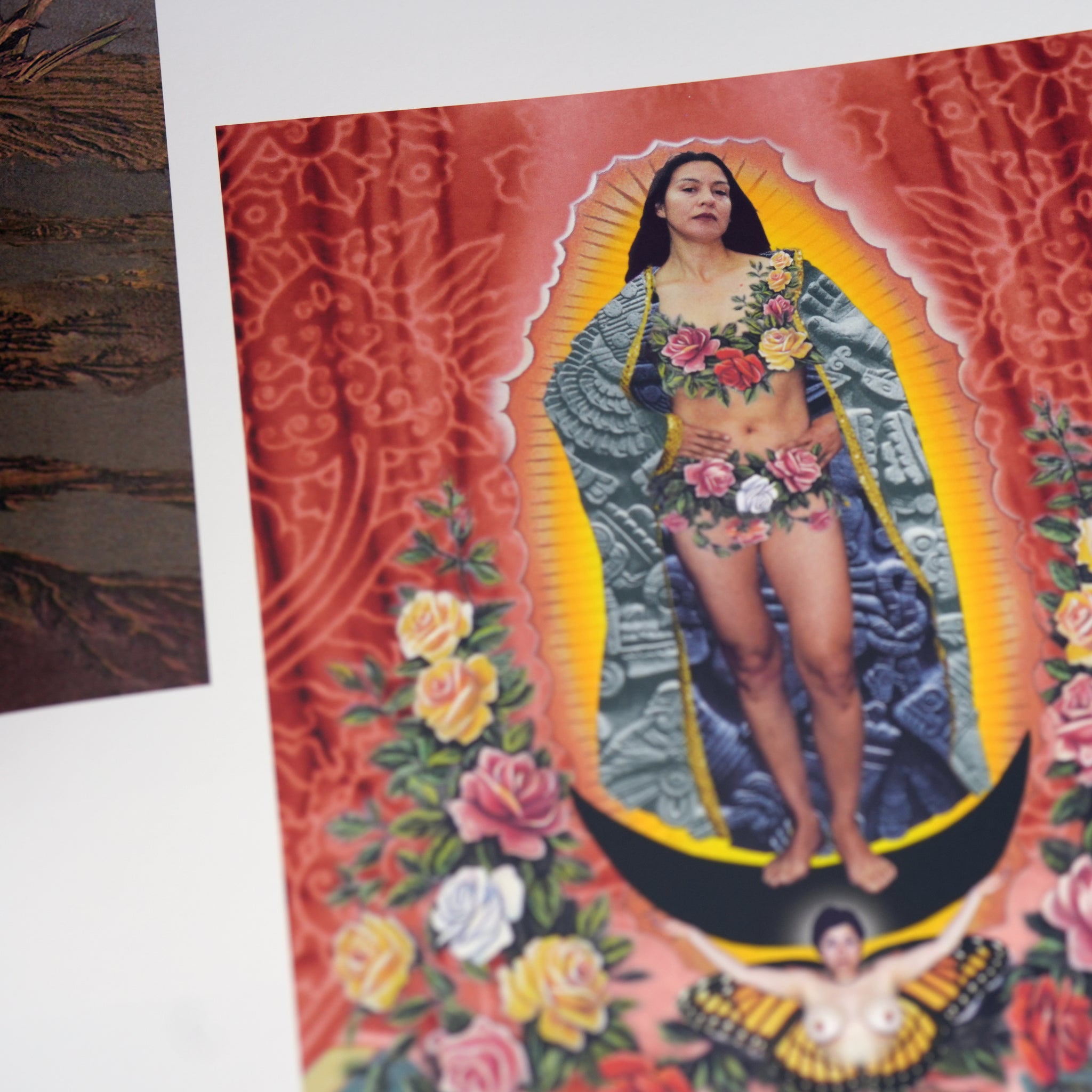 Digital Witness: Revolutions in Design, Photography, and Film