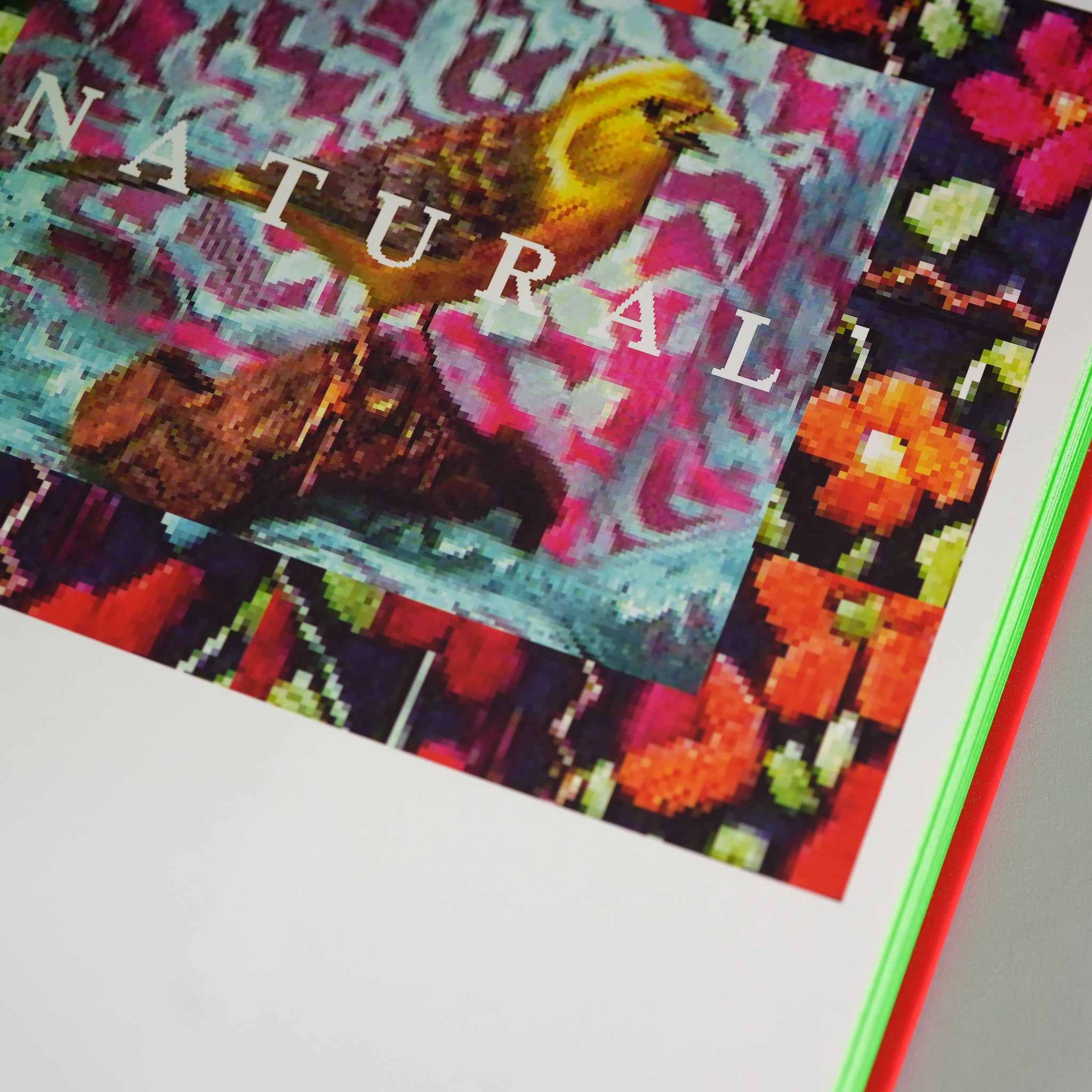 Digital Witness: Revolutions in Design, Photography, and Film