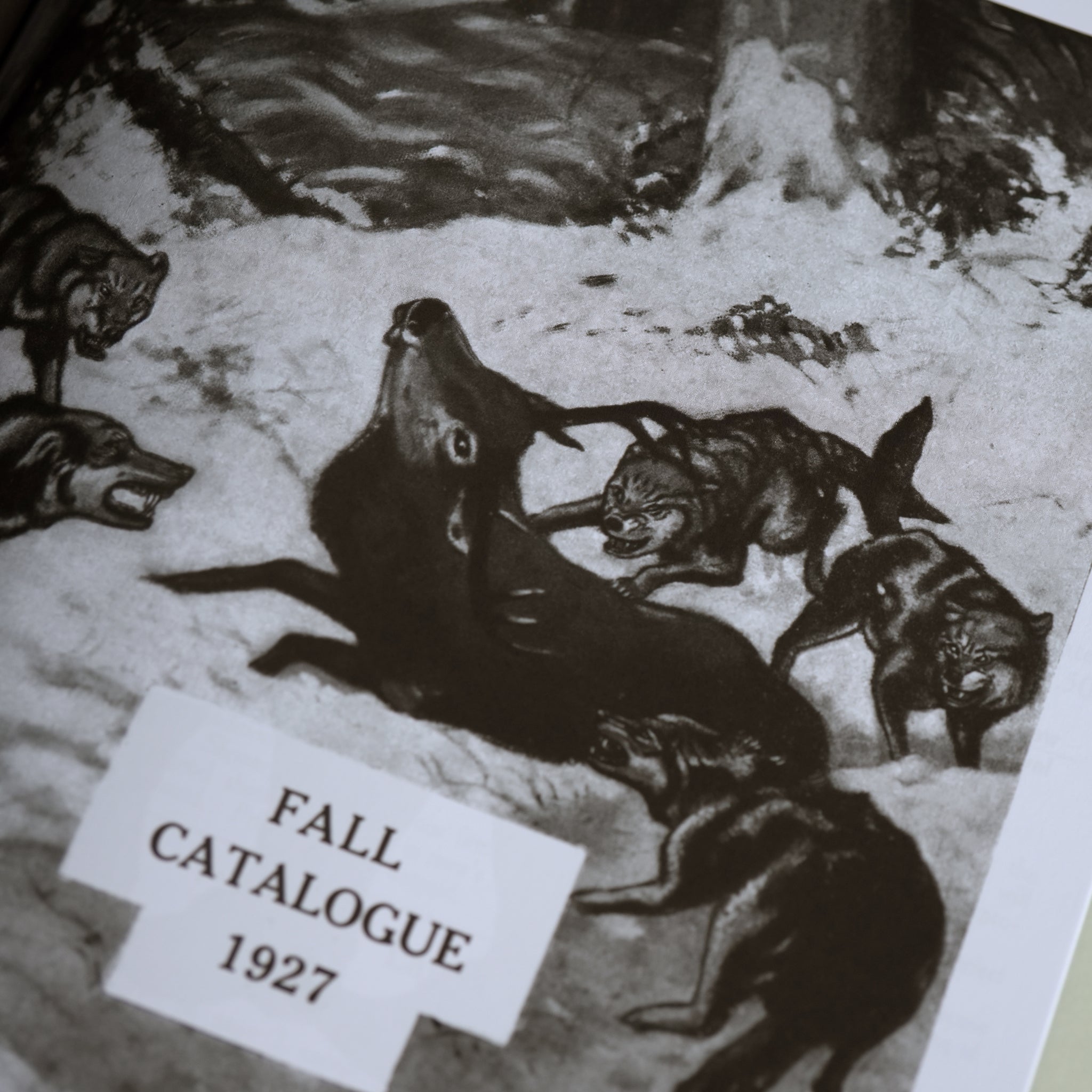 The Outdoor Archive: The Ultimate Collection of Adventure & Sporting Graphics, Illustrations and Gear
