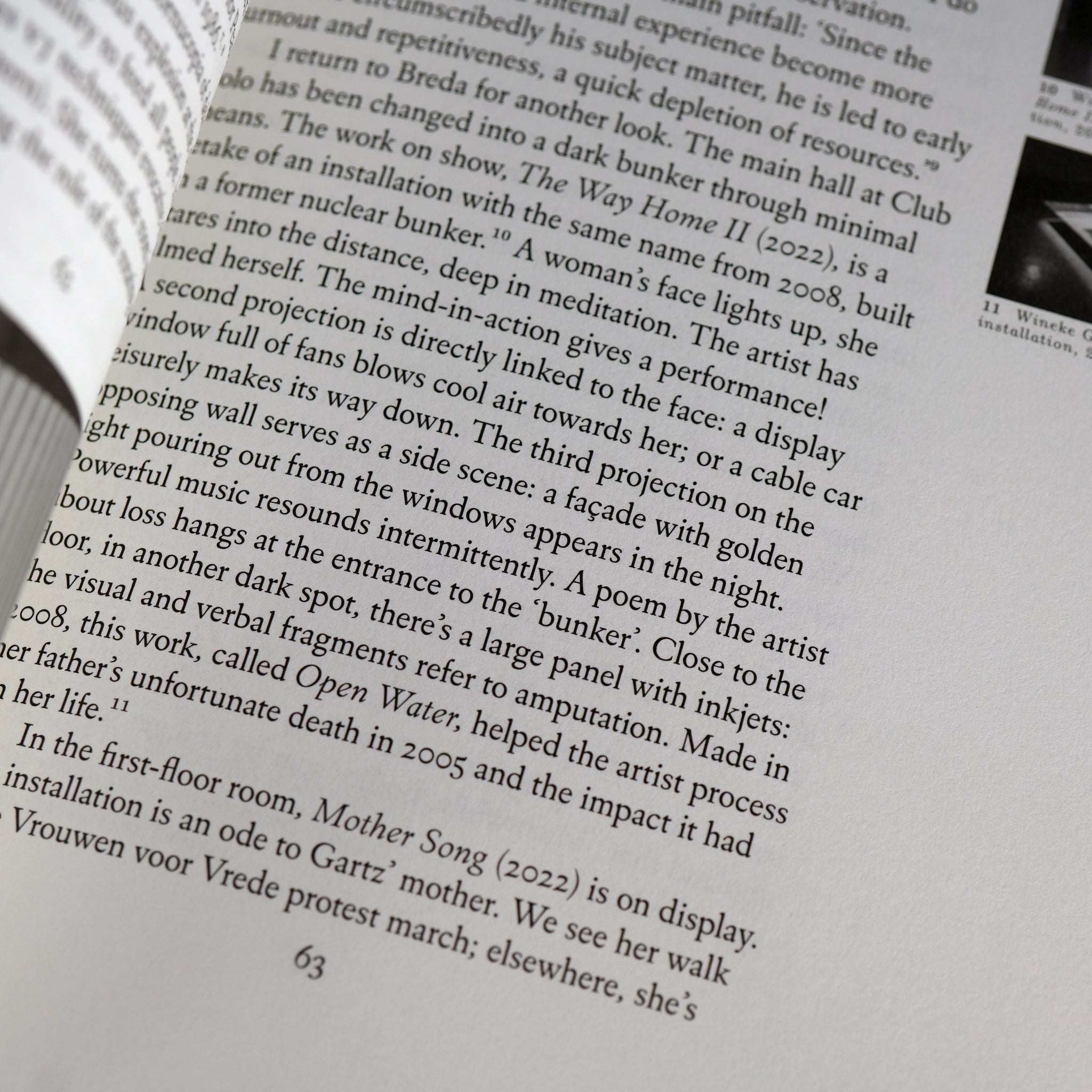 Beautiful Madness: Art Writing as Art Curating