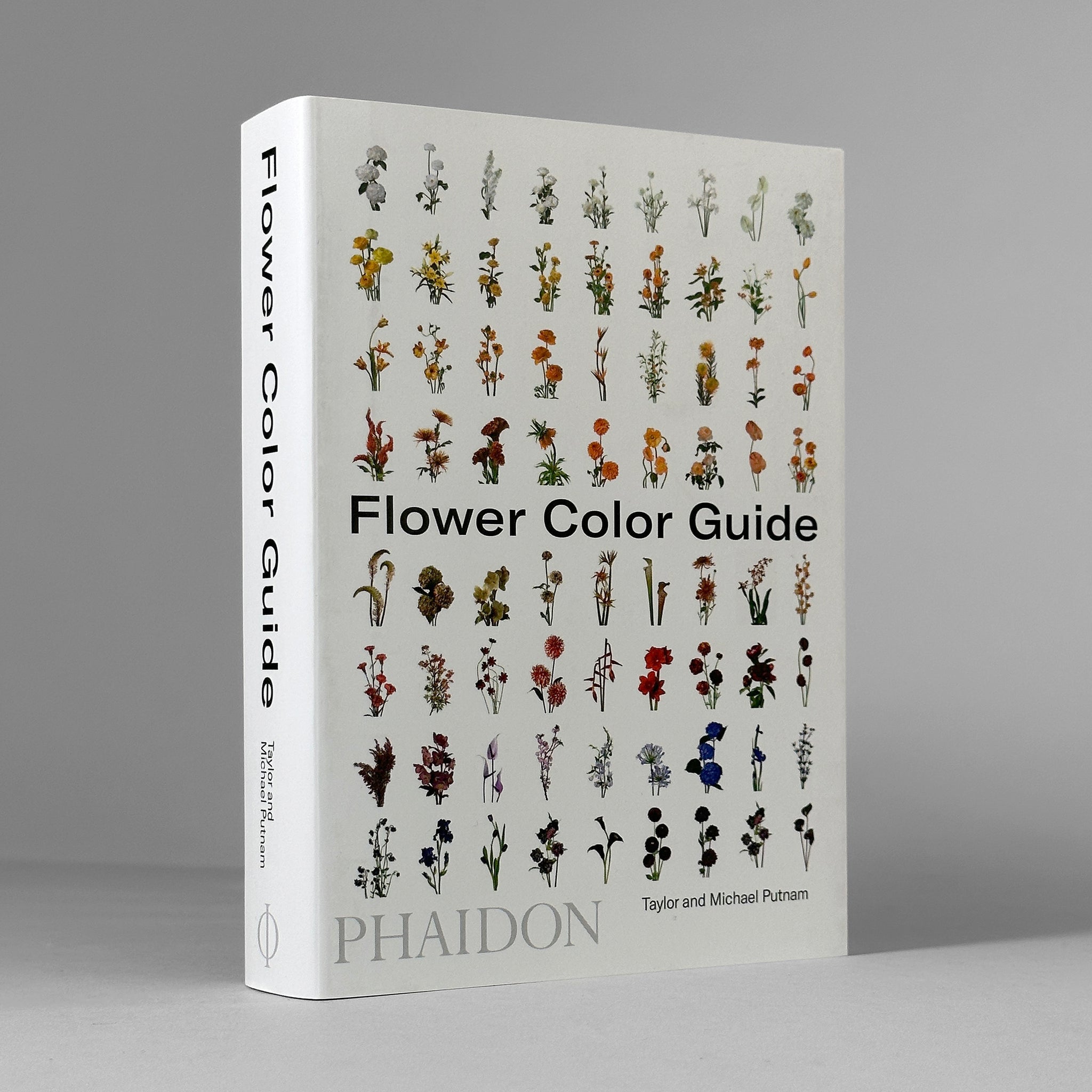 Flowercolor Guild Color Theory – Draw Down