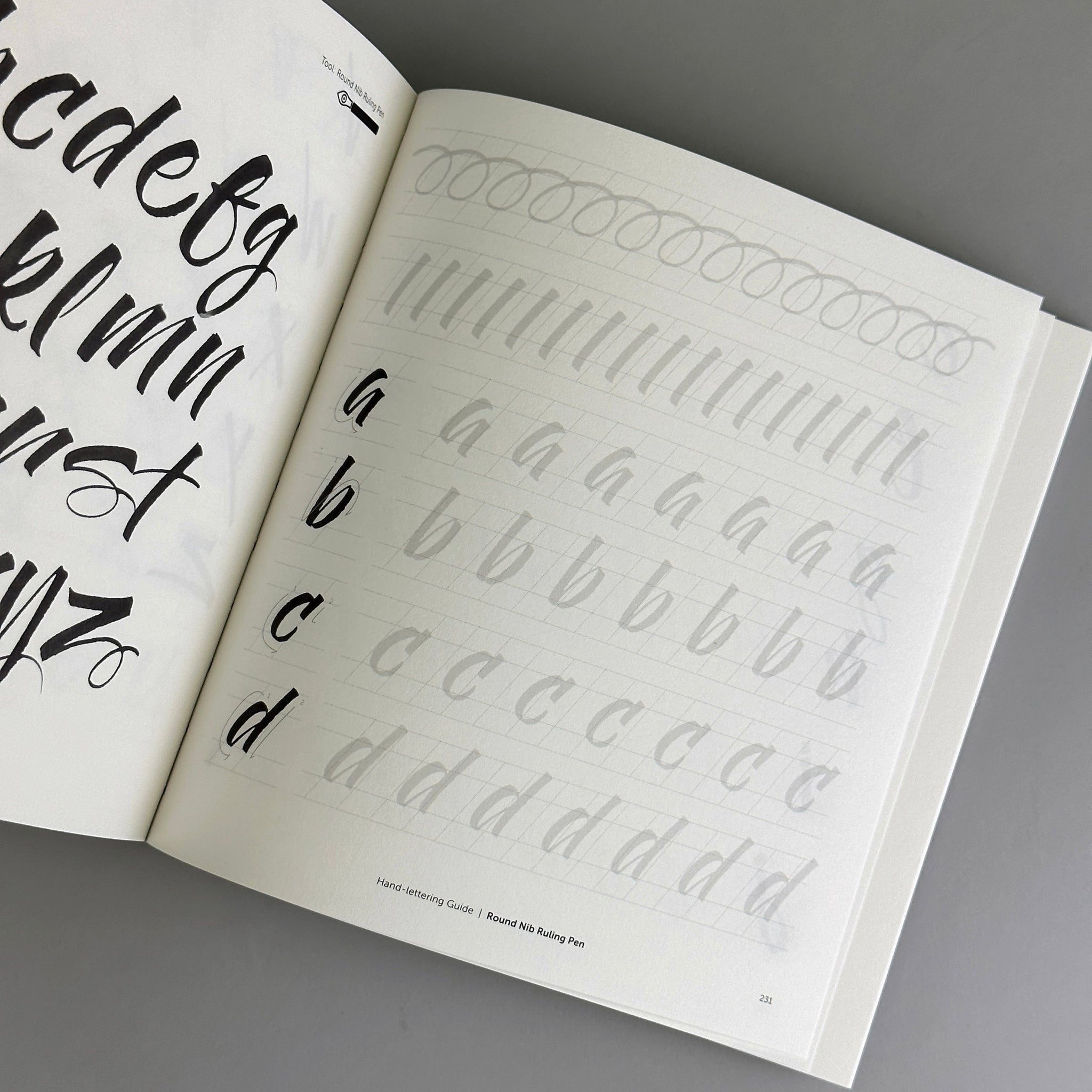 Handstyle Lettering: From Calligraphy to Typography (20th Anniversary ...