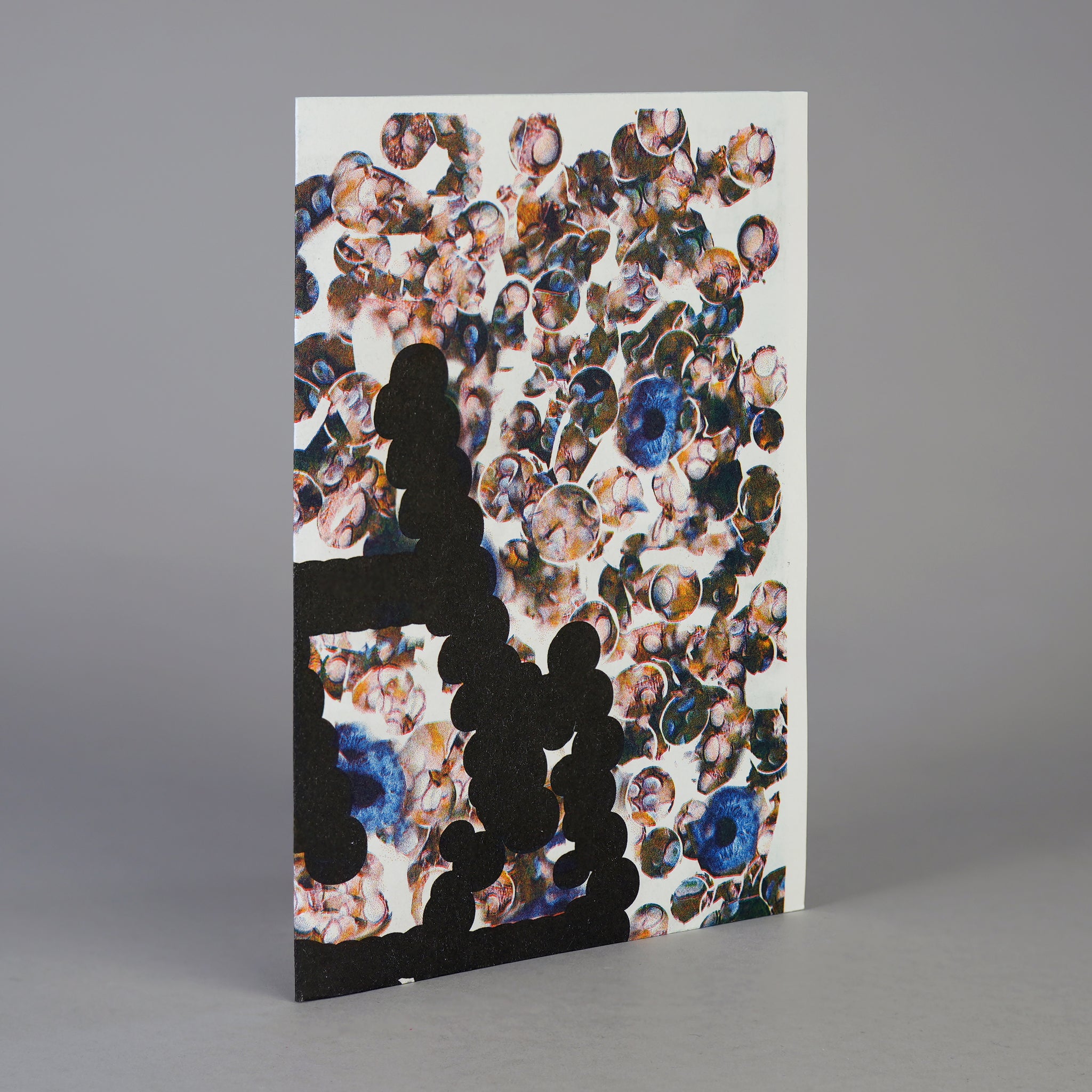 Harber Type Specimen (A3 Version, 2024)