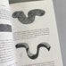 The Stroke: Theory Of Writing