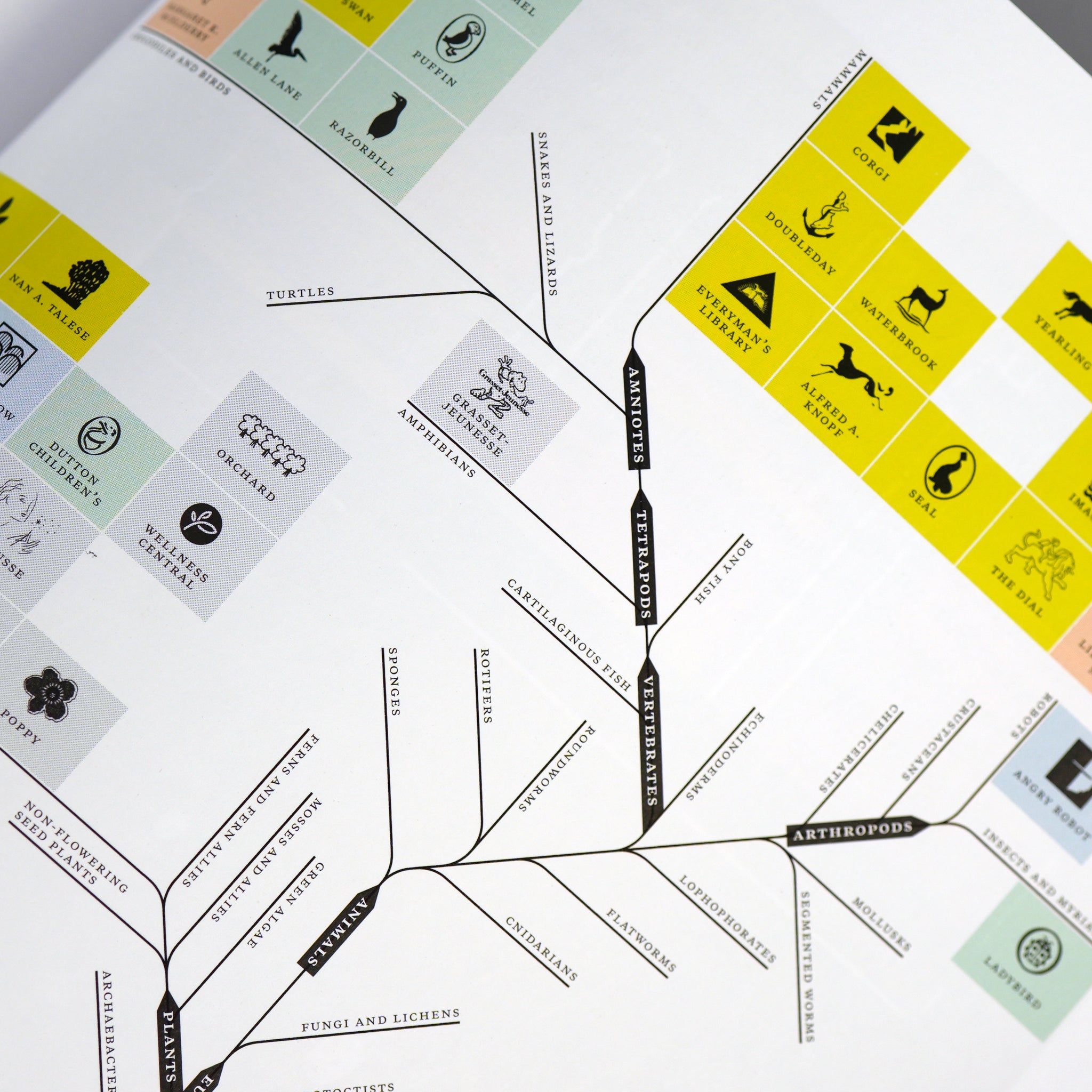 Information Graphics (45th Edition) – Draw Down