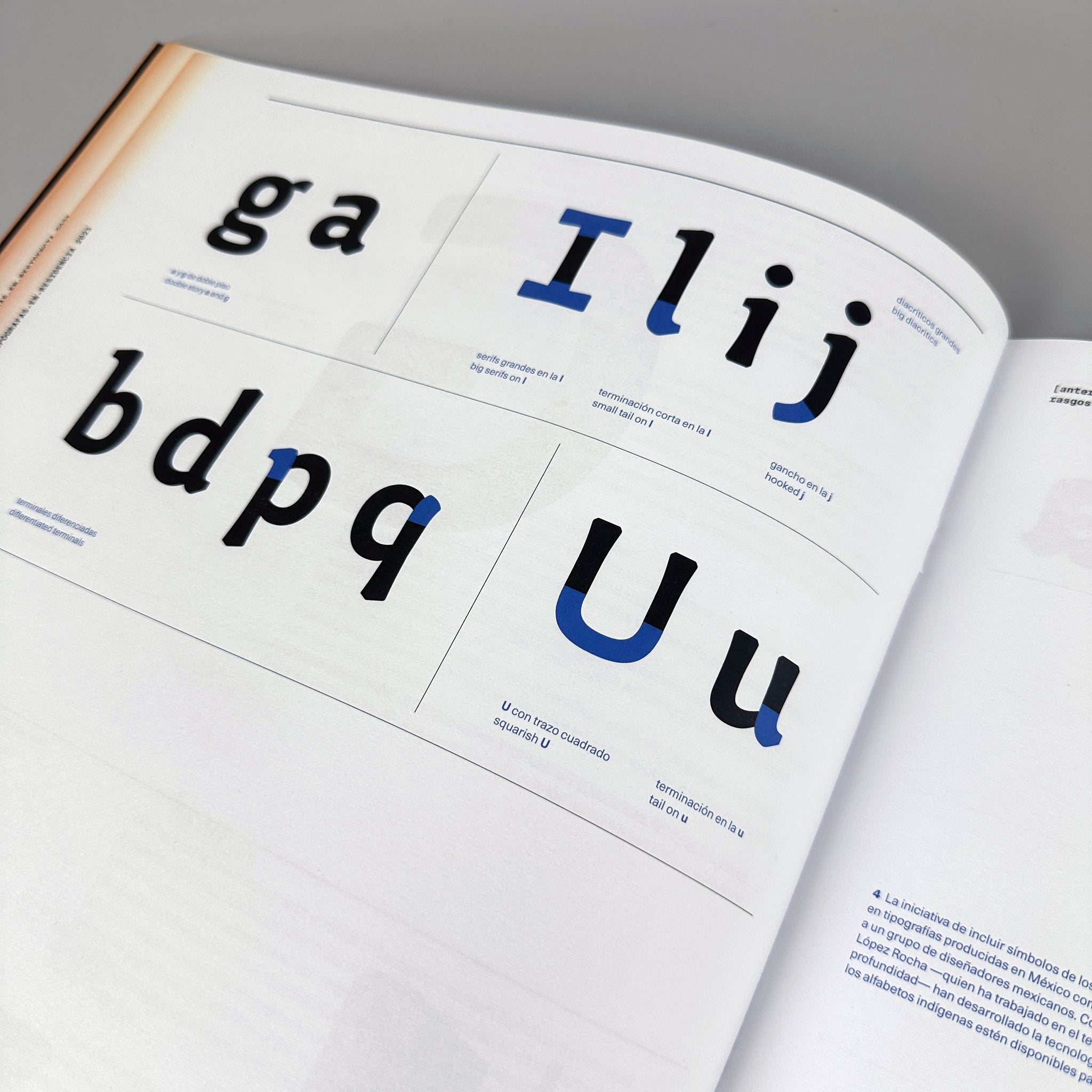 Mujeres Hispanas y Tipografía (Hispanic Women and Typography)