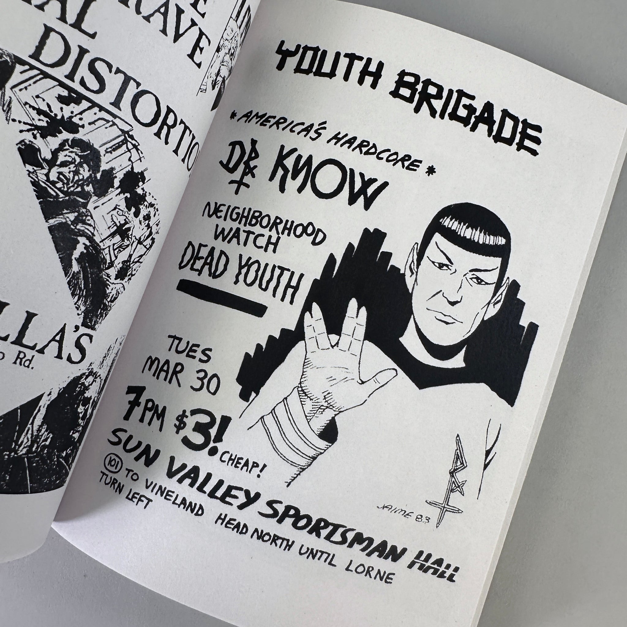 Punk Flyers (1975-2020)