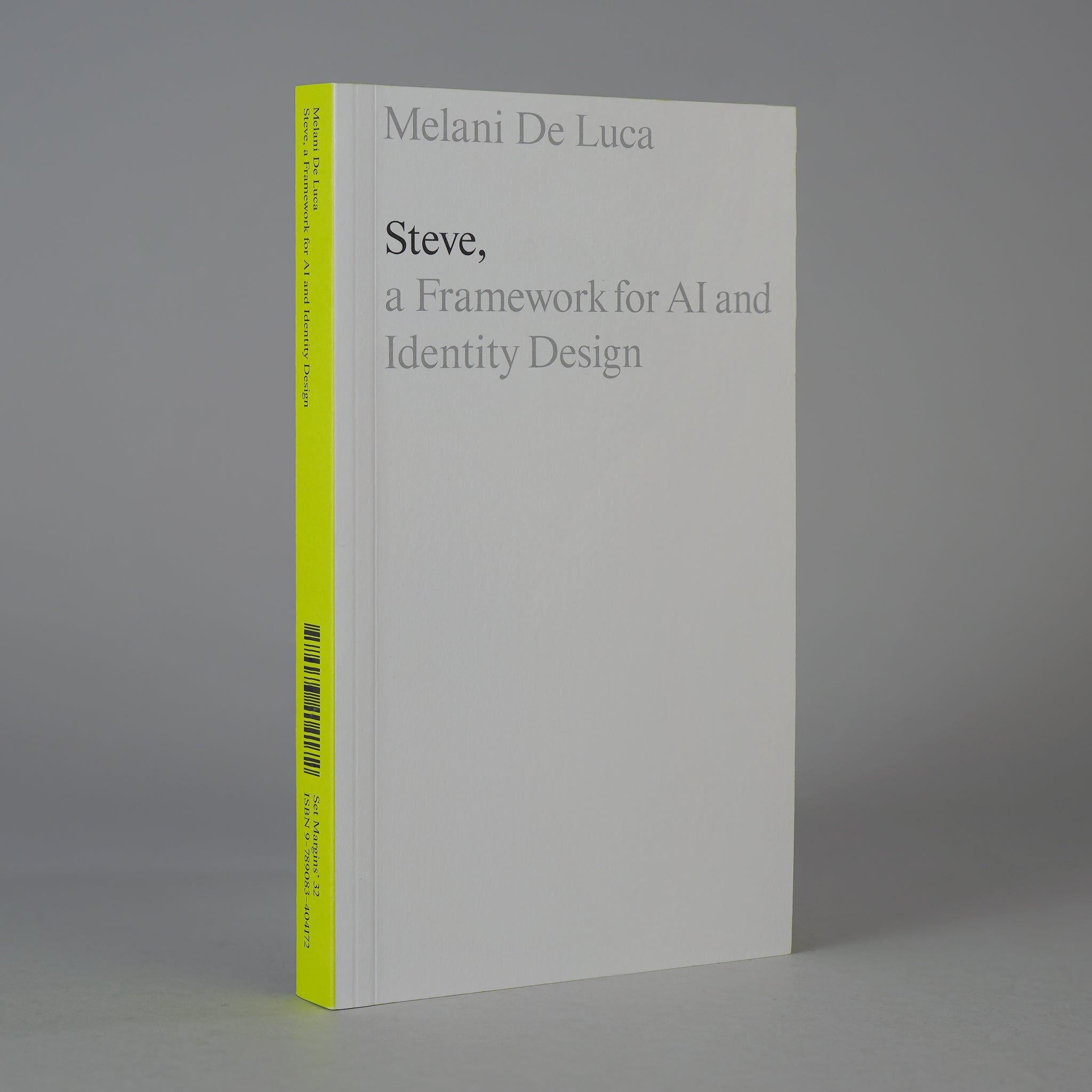 Steve: A Framework for AI and Identity Design