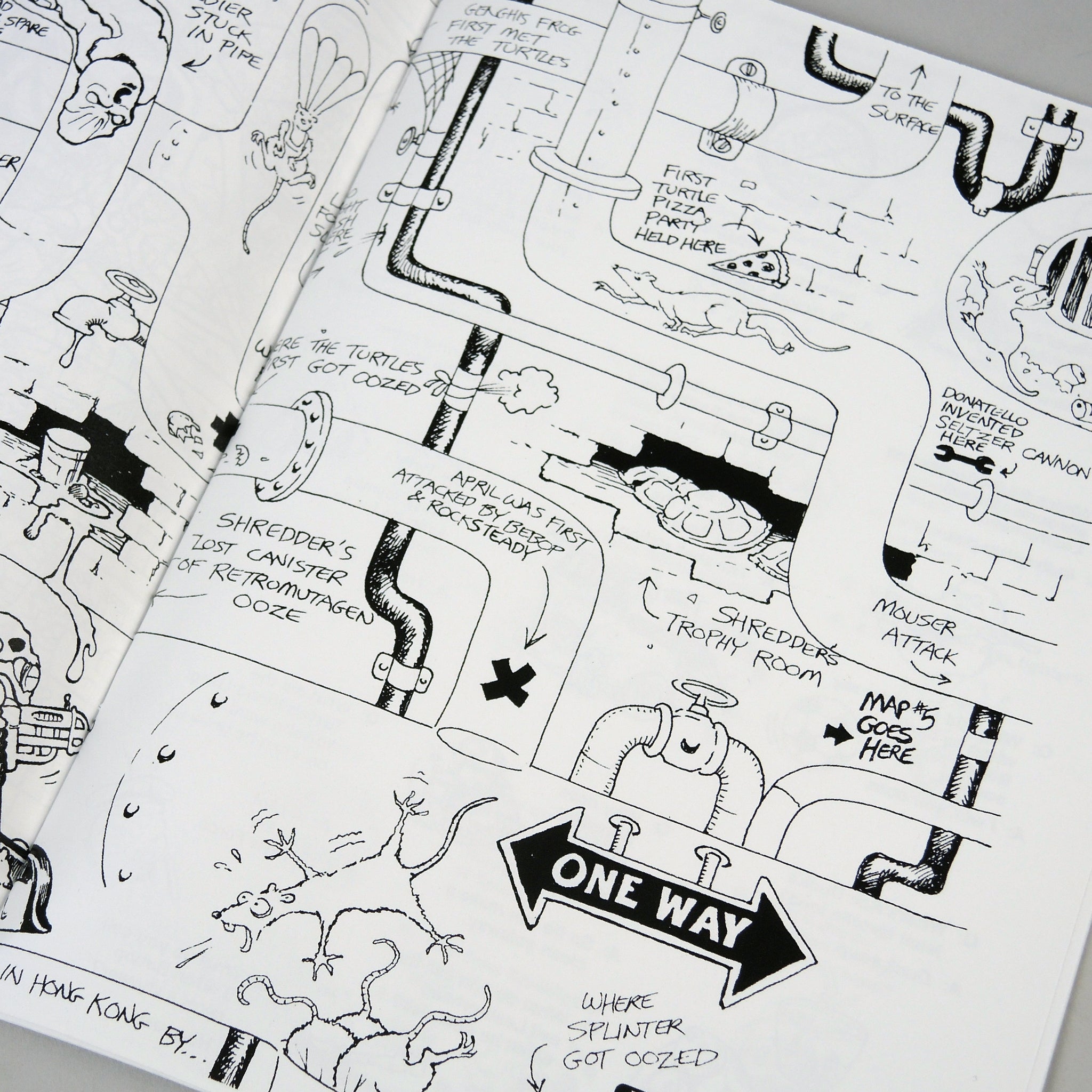 Teenage Mutant Ninja Turtles: Secret Sewer Maps