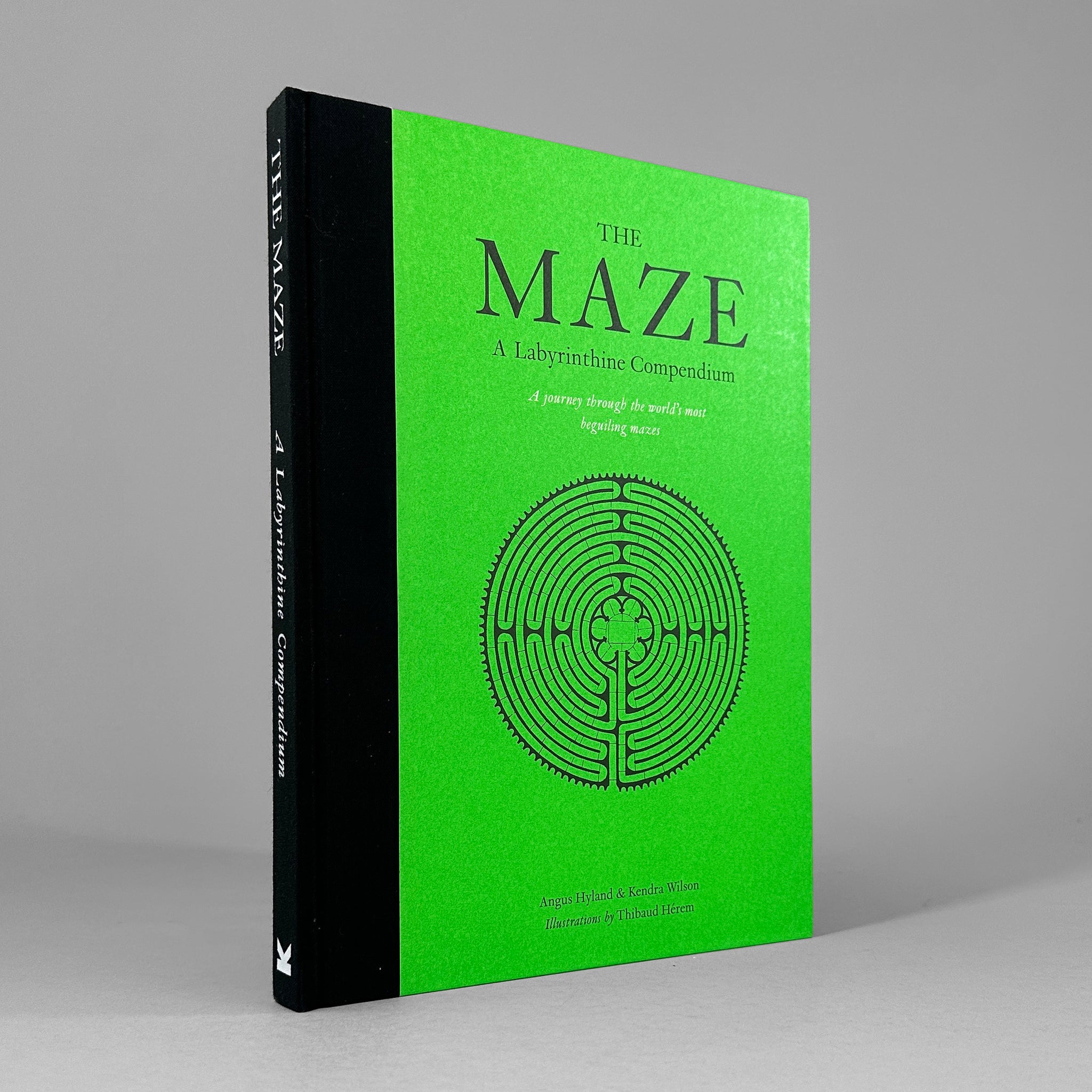 The Maze: A Labyrinthine Compendium