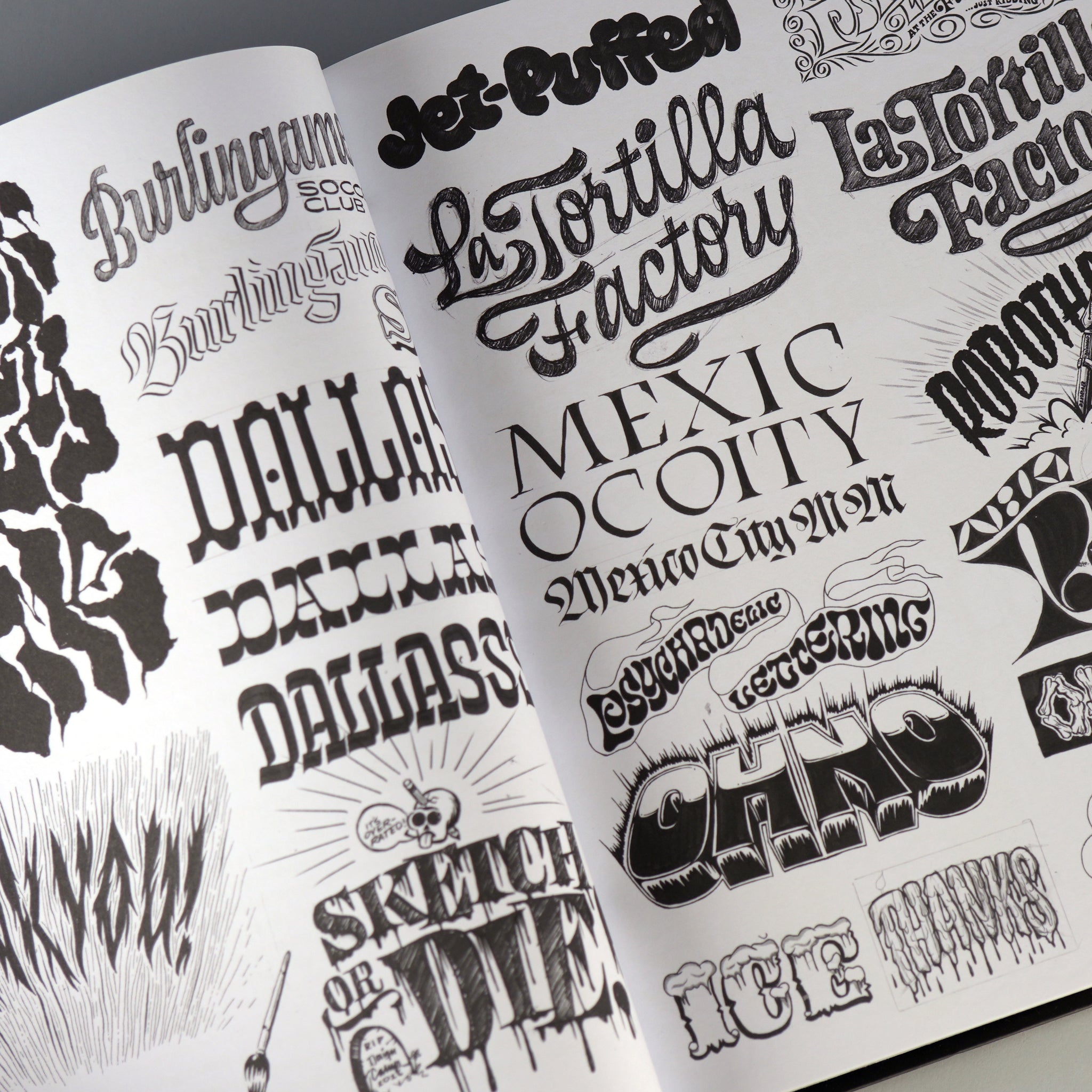 PRE-SALE: The Ohno Book: A Serious to Irreverent Type Design
