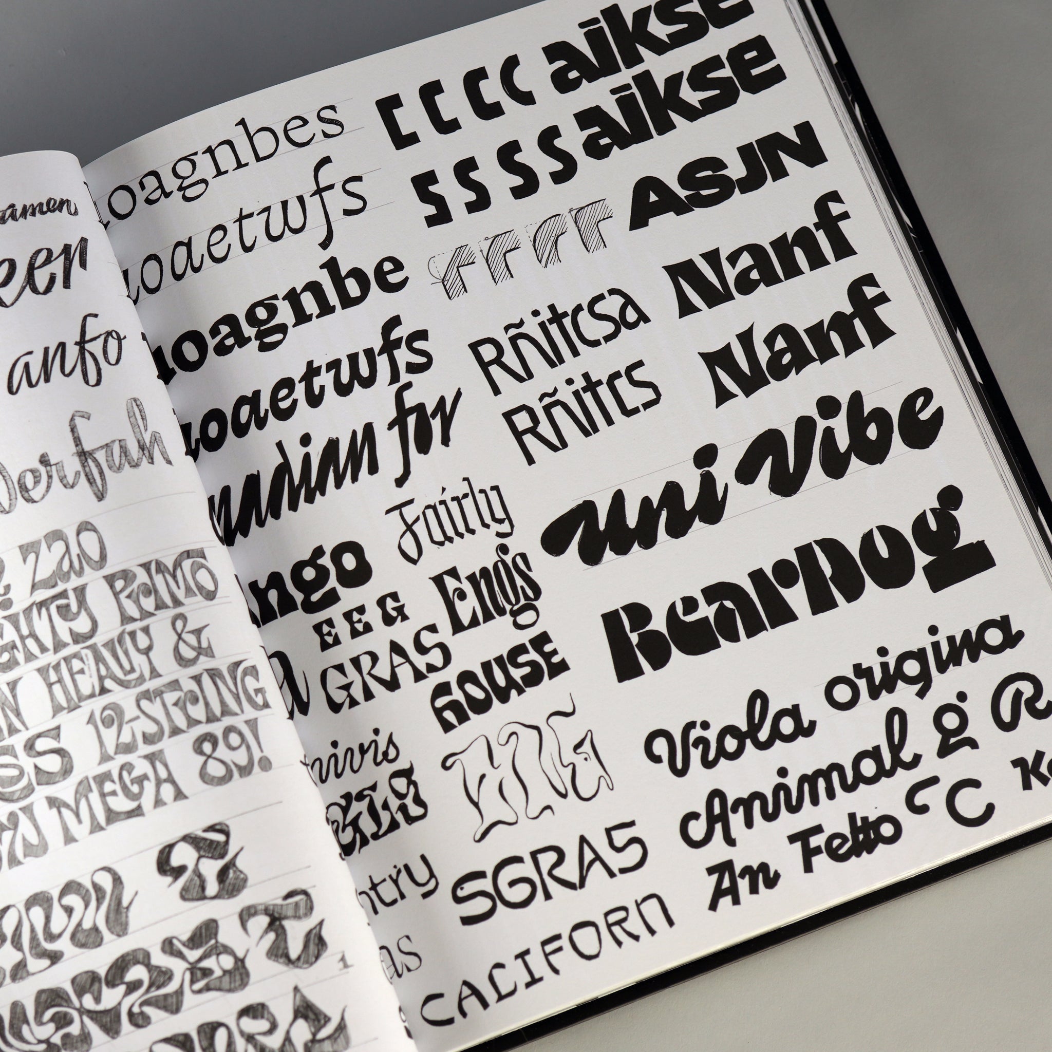 PRE-SALE: The Ohno Book: A Serious to Irreverent Type Design