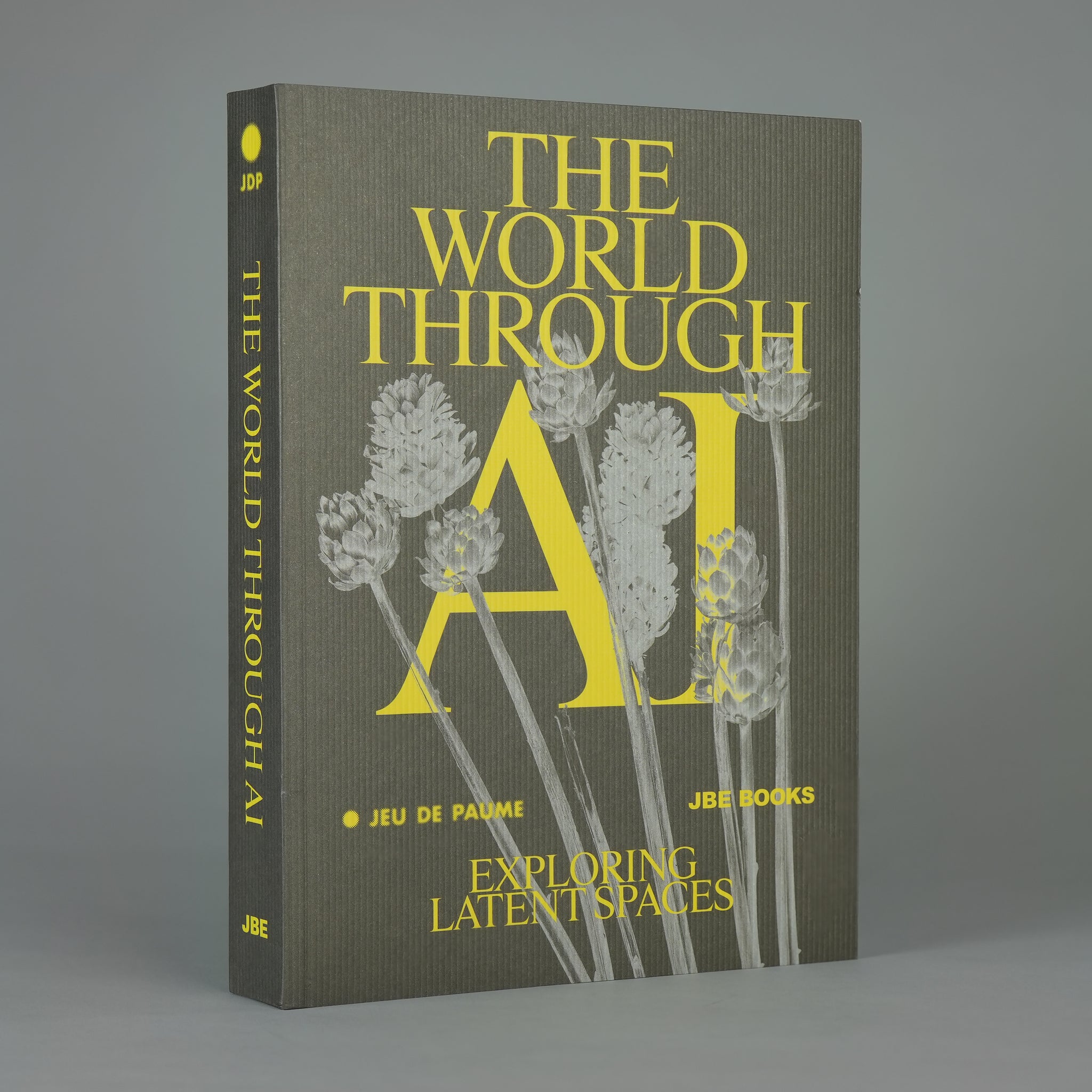 The World Through AI: Exploring Latent Spaces