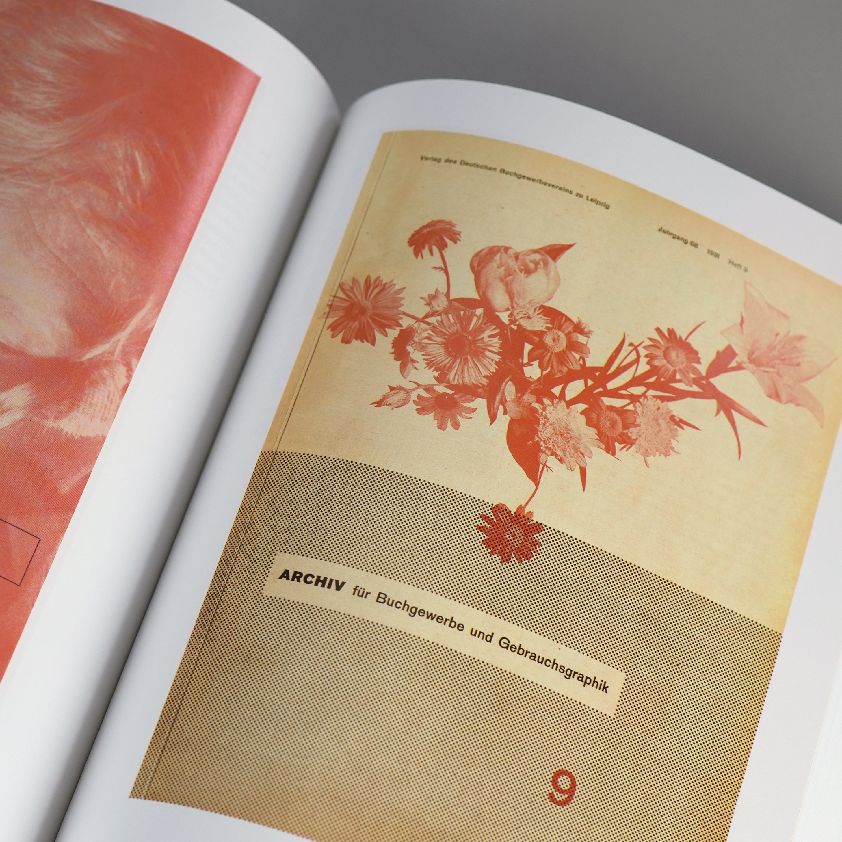 Typophoto: New Typography and the Reinvention of Photography