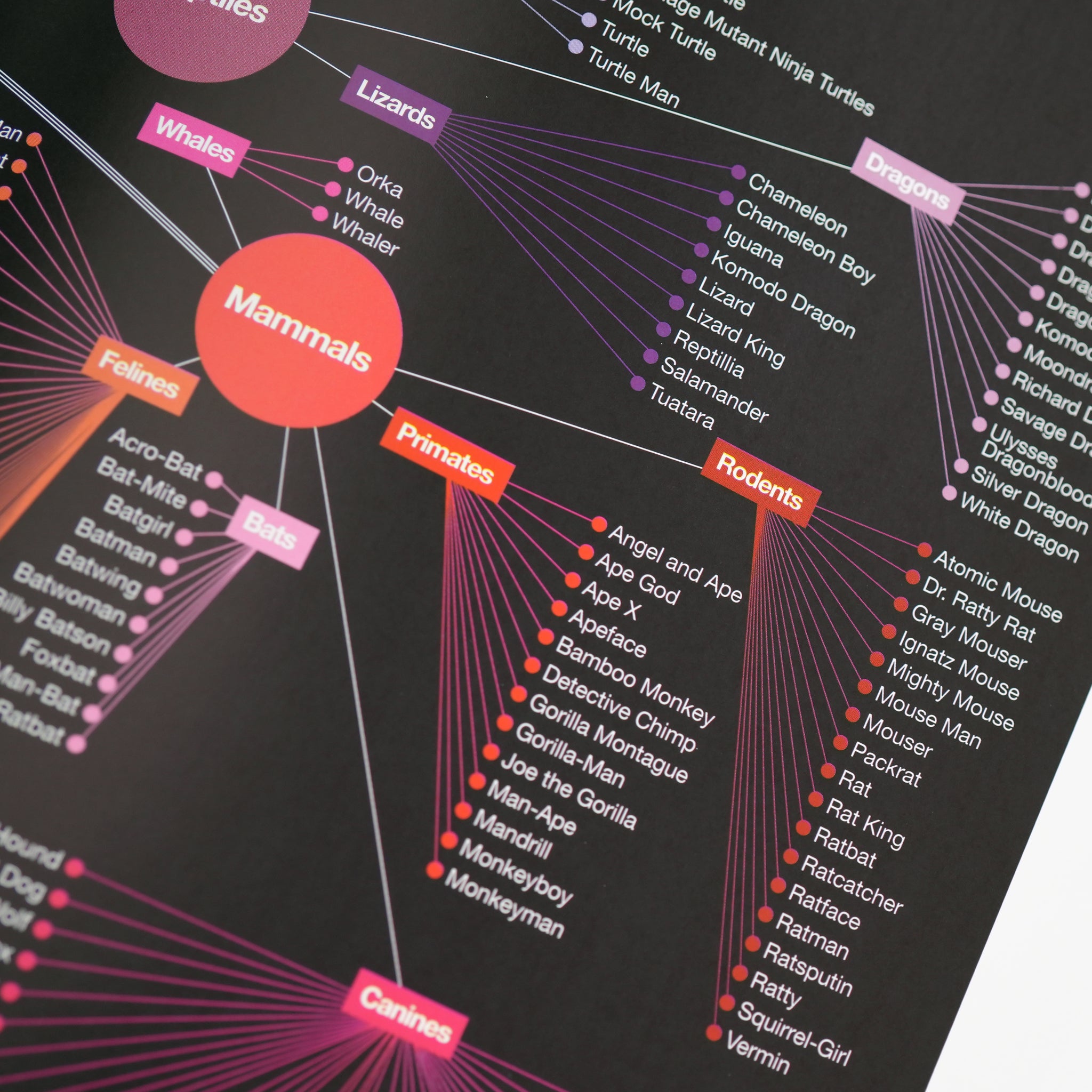 Understanding the World: The Atlas of Infographics – Draw Down