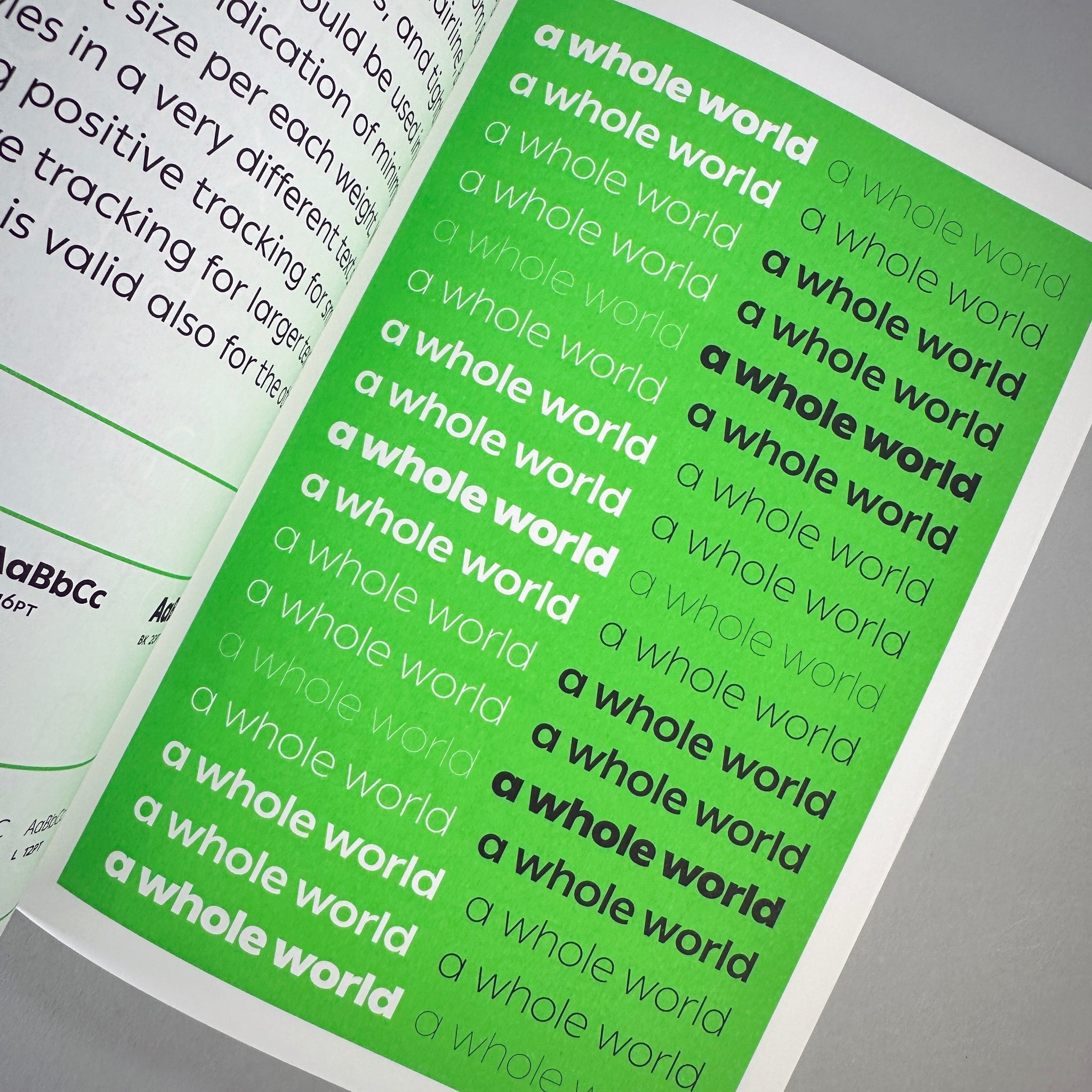 Ping: A Whole World Typeface Specimen (Green)