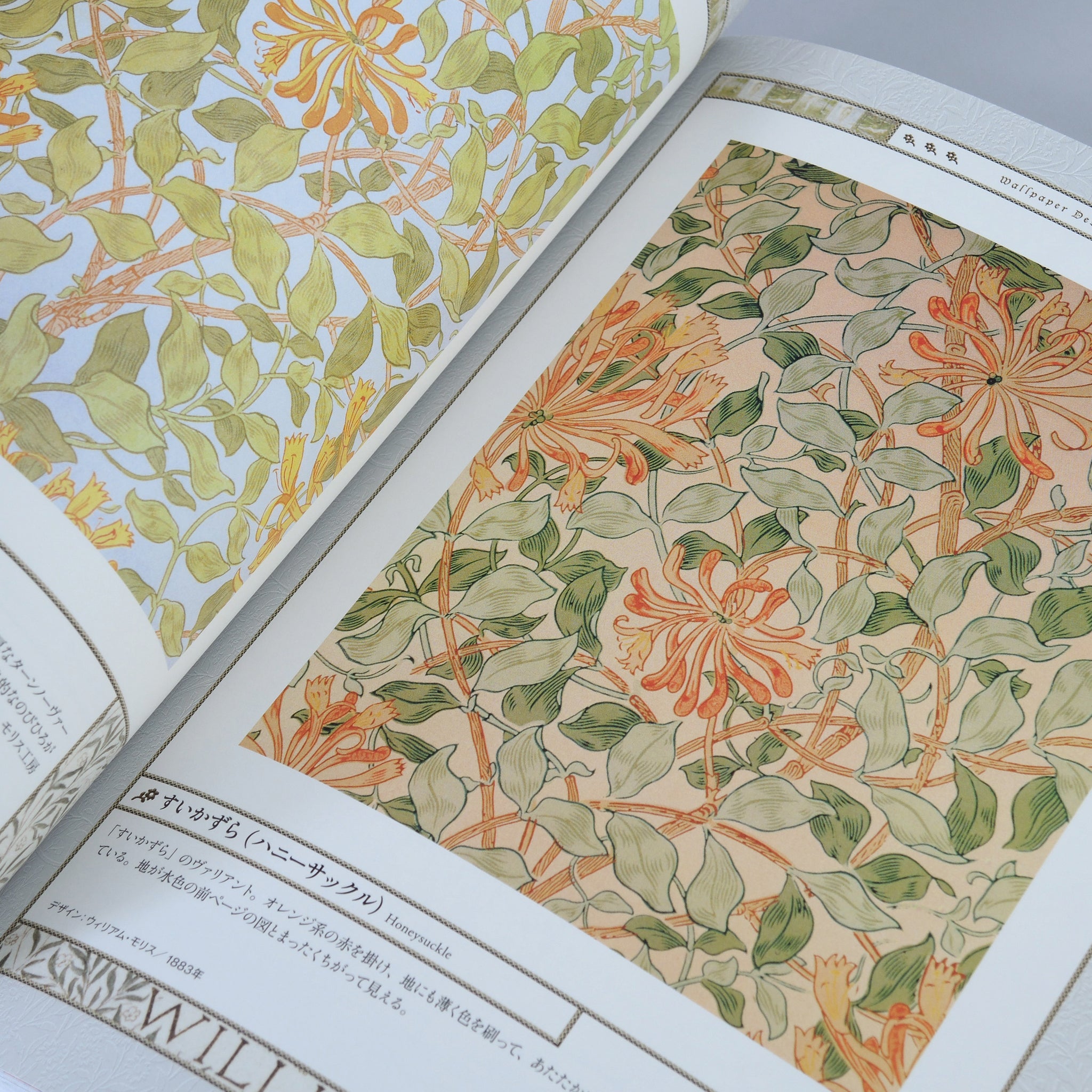 William Morris: Father of Modern Design and Pattern