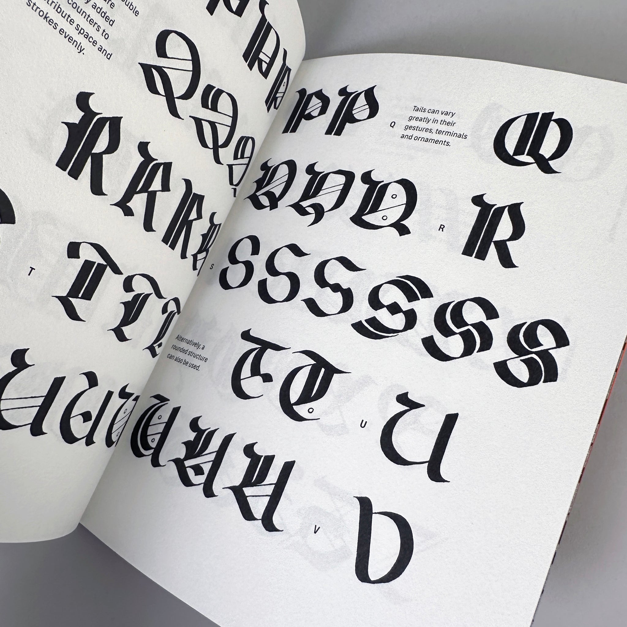 Blackletter — Rotunda (Calligraphy Manual)