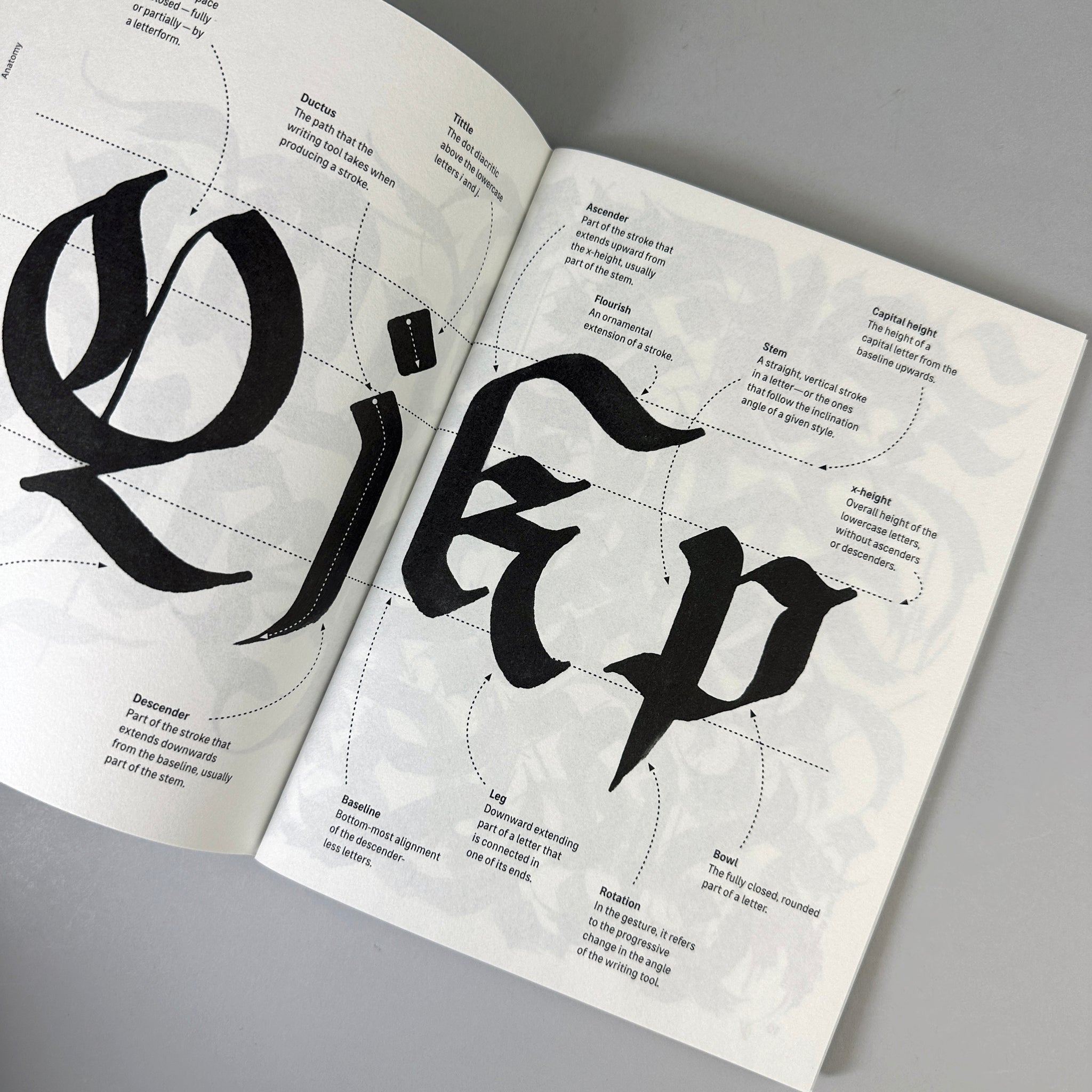 Blackletter — Fraktur (Calligraphy Manual)
