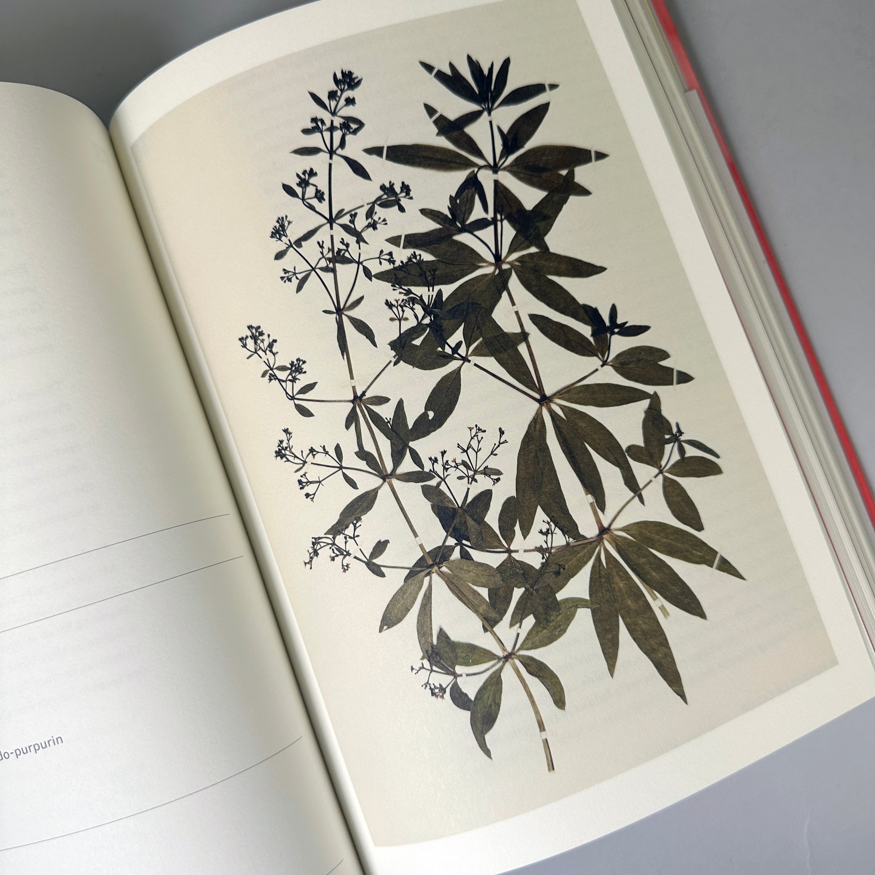 The V&A Book of Colour in Design main image 0