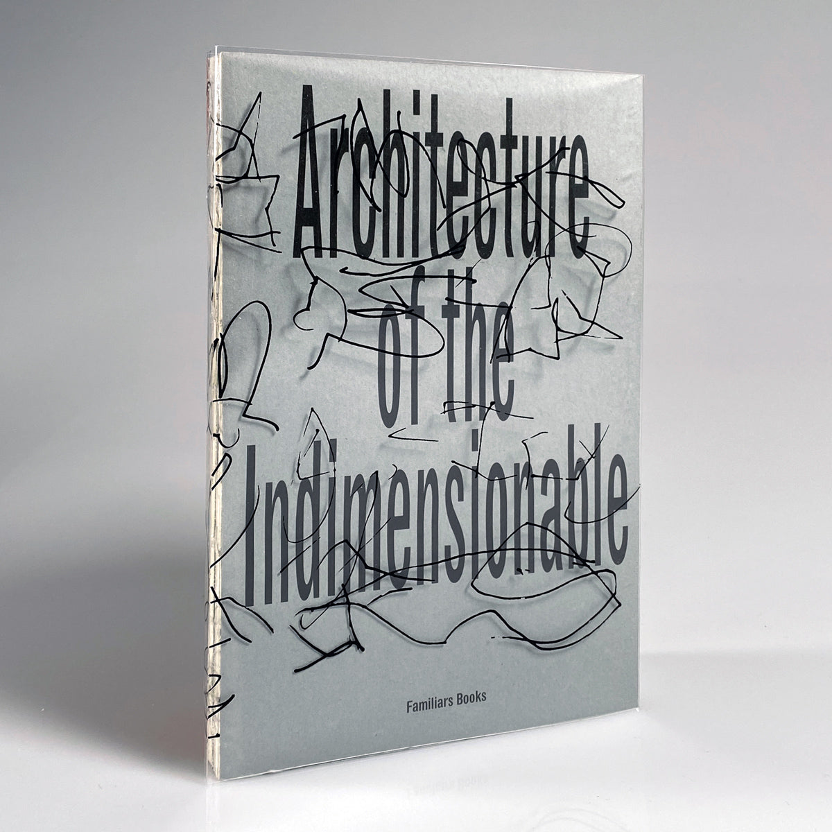 Architecture of the Indimensionable