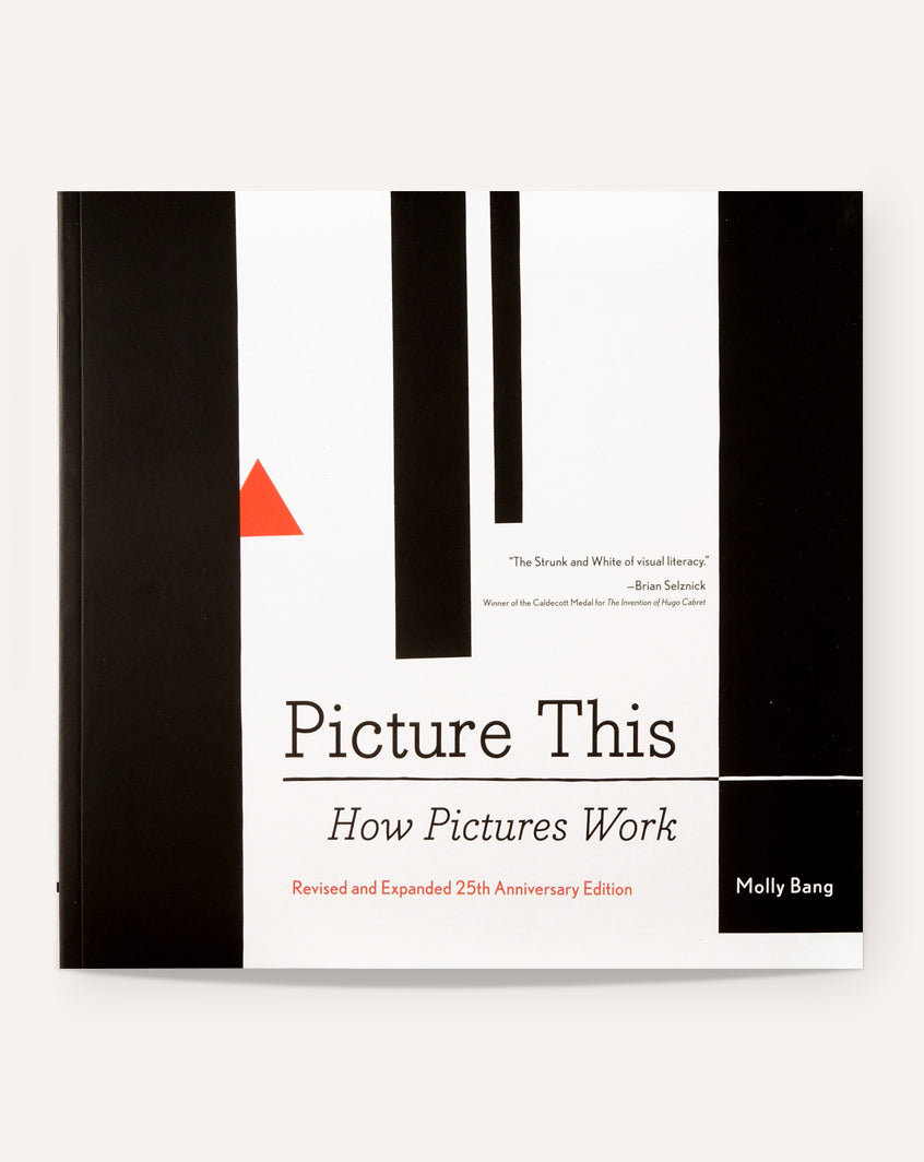 Picture This: How Pictures Work / Molly Bang – Draw Down