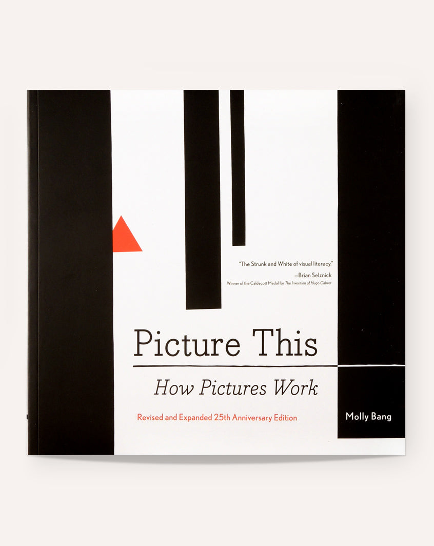 Picture This: How Pictures Work / Molly Bang